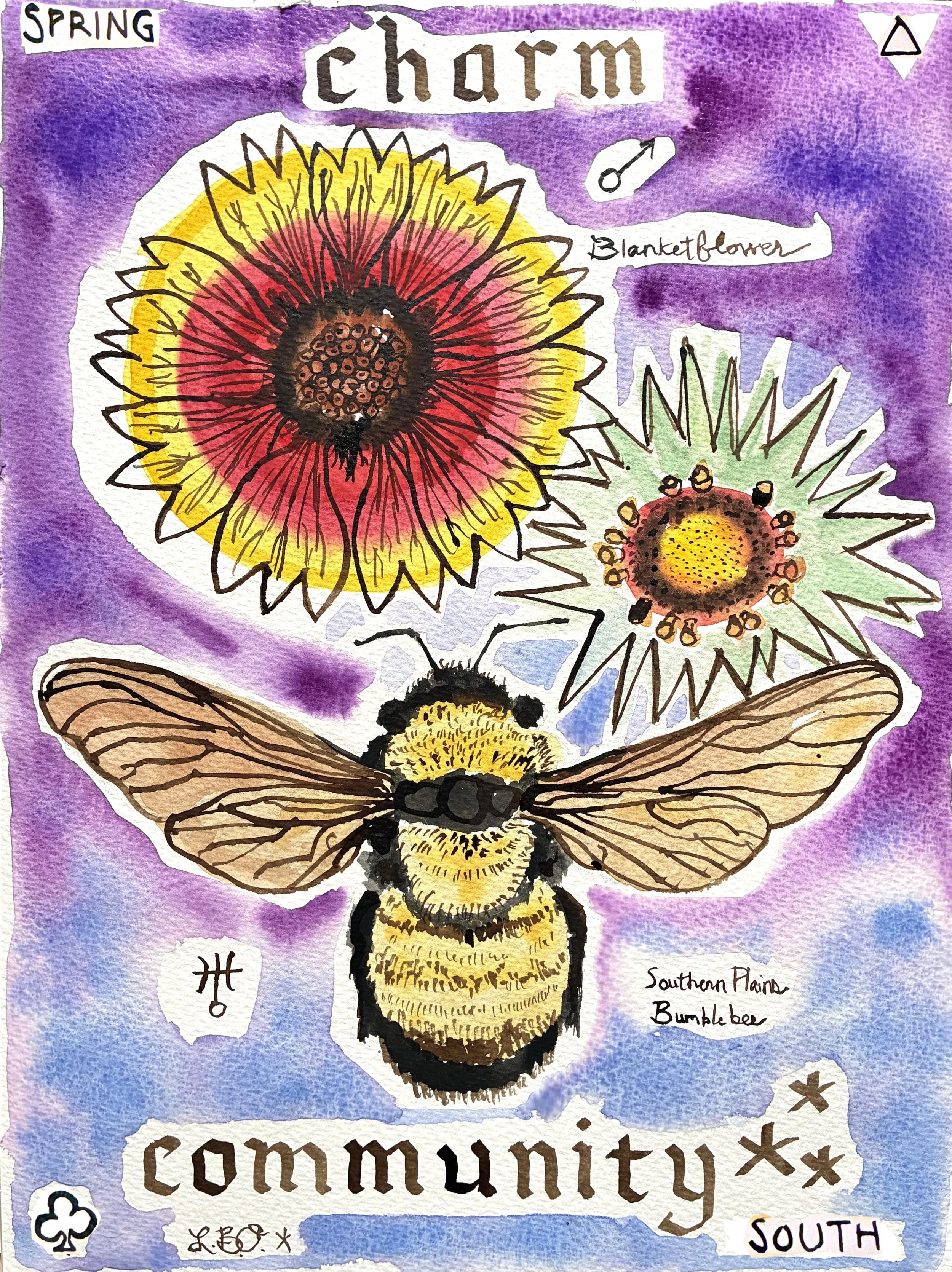 Blanketflower Bumblebee.jpeg