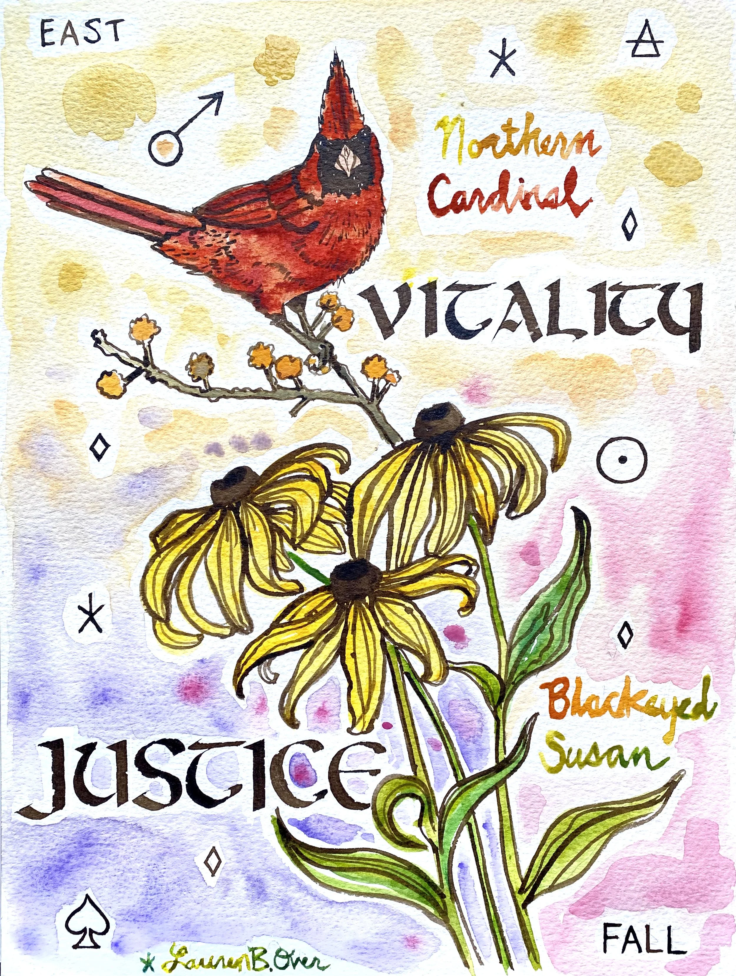 Cardinal Black Eyed Susans.jpeg