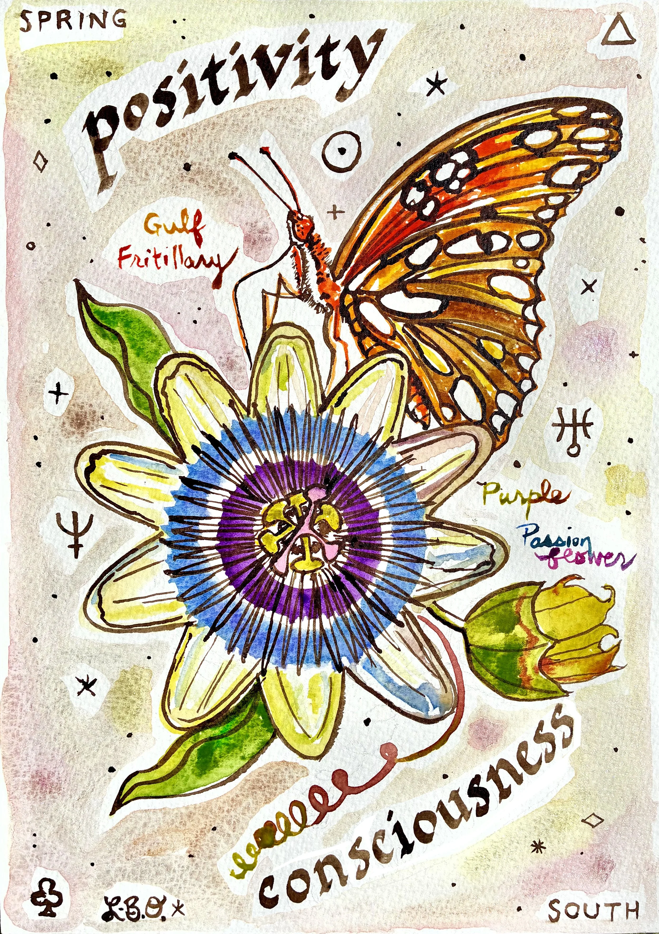 Passionflower Gulf Fritillary.jpeg
