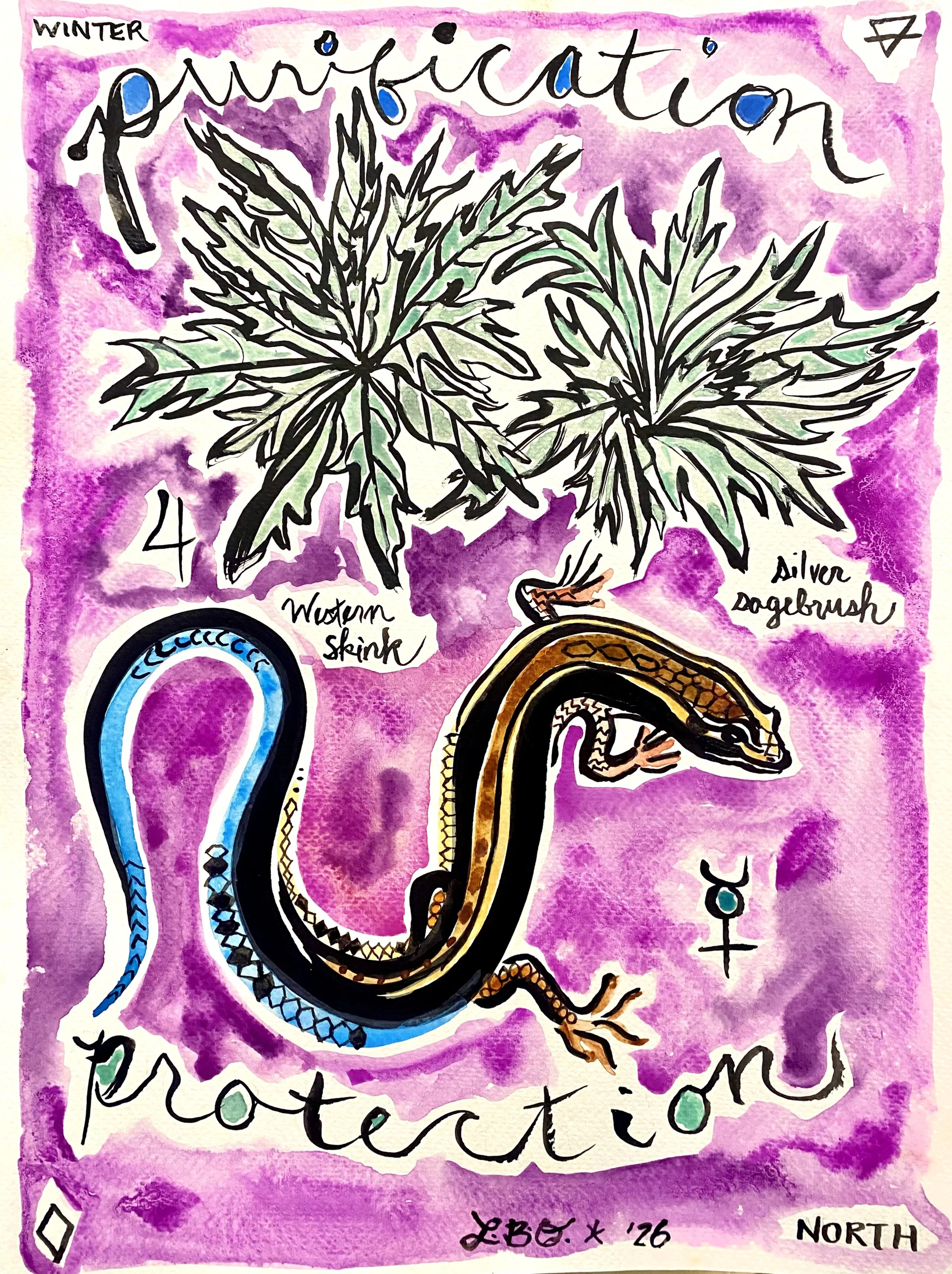 Silver Sagebrush Skink.jpeg