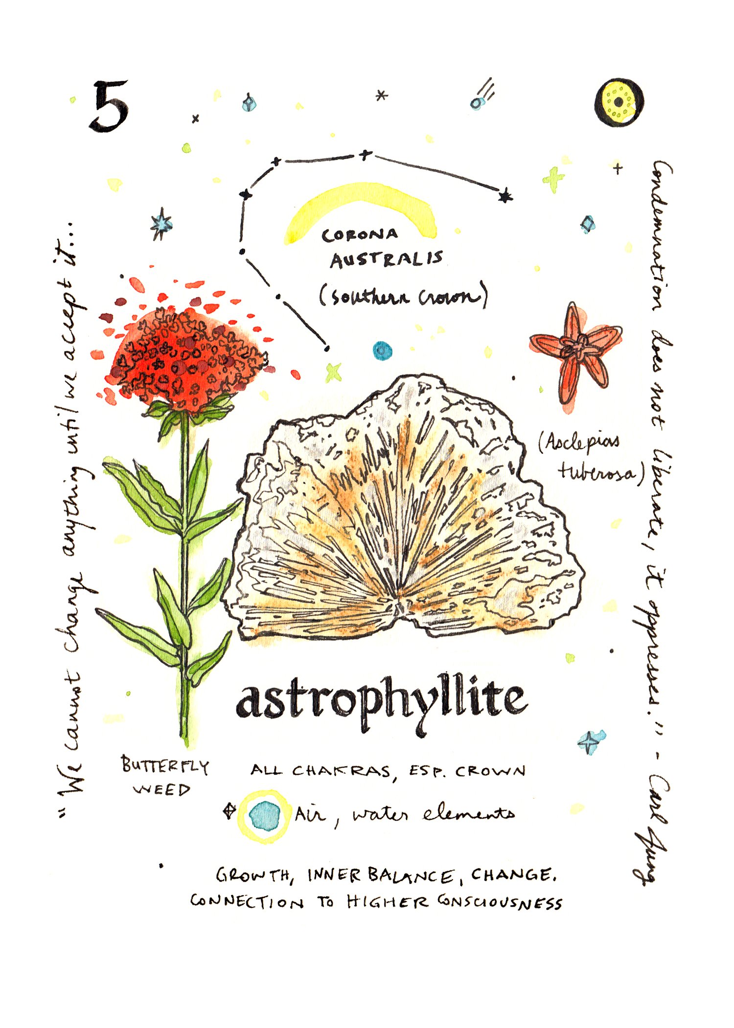 astrophyllite.jpg