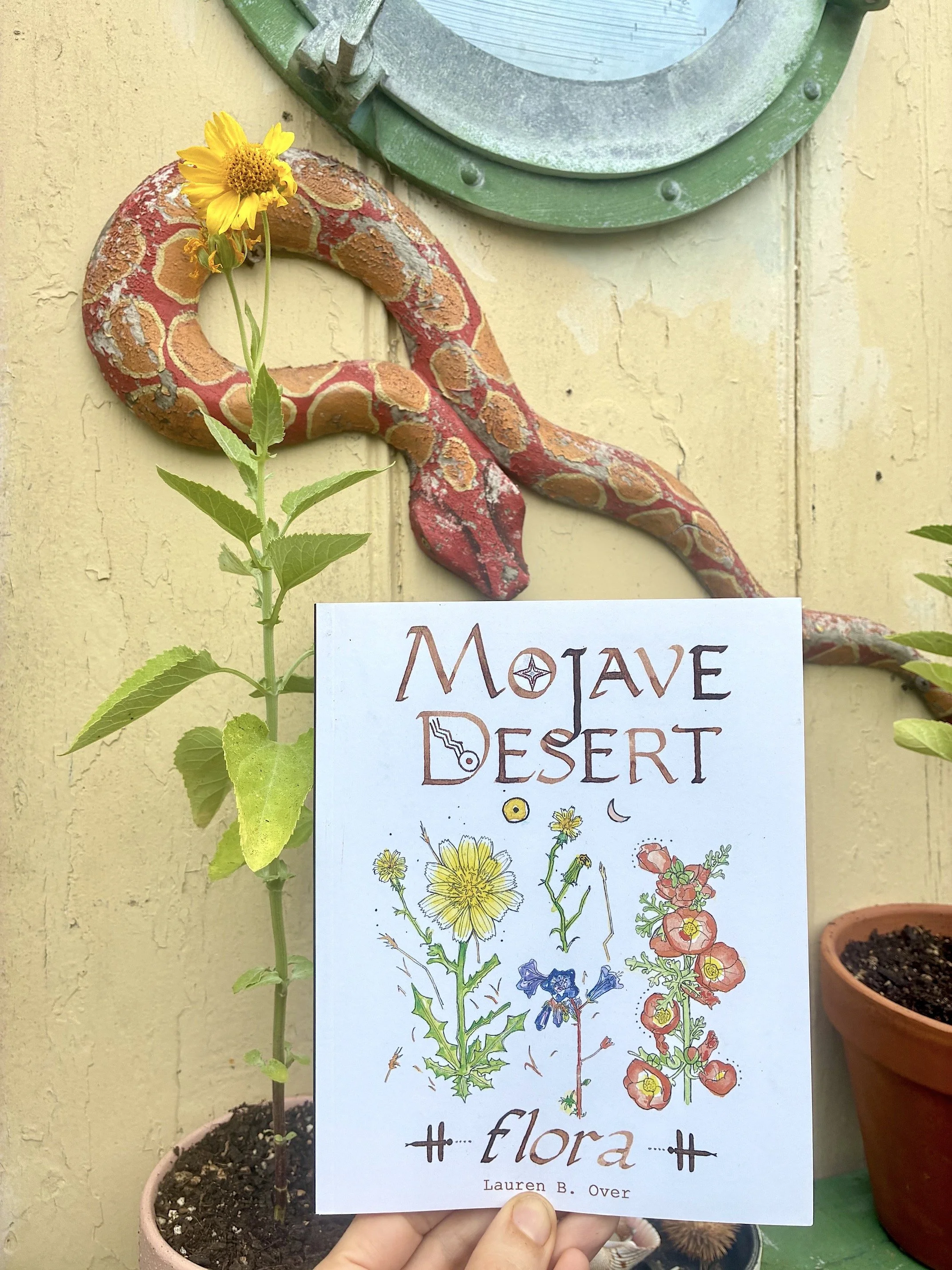 Mojave Desert Flora