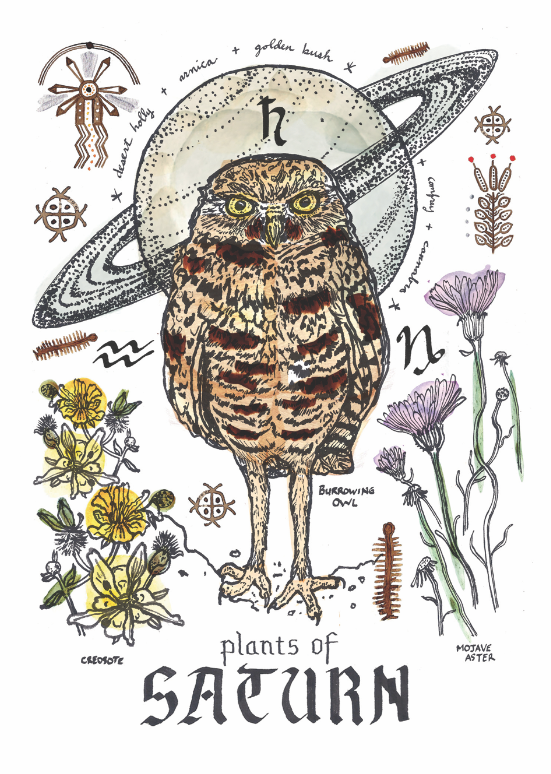 Saturn owl.png