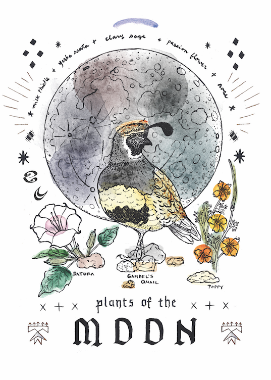 Moon quail.png