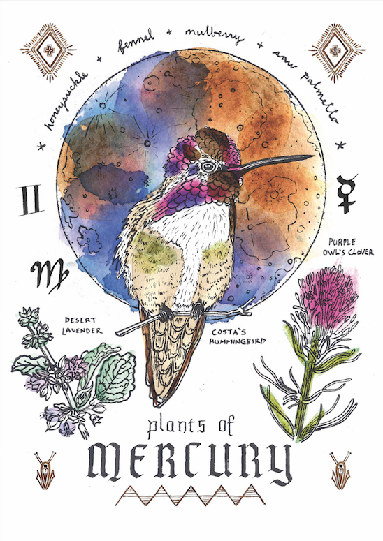 Mercury hummingbird.png