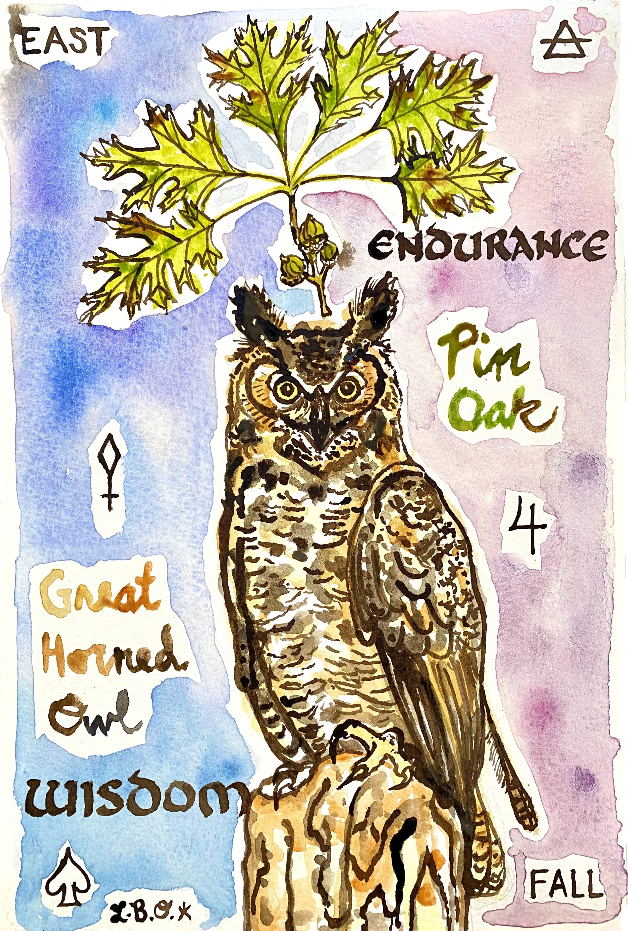 Owl Oak.jpg