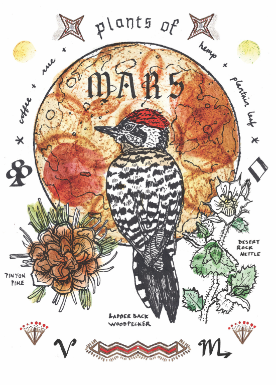 Mars woodpecker.png