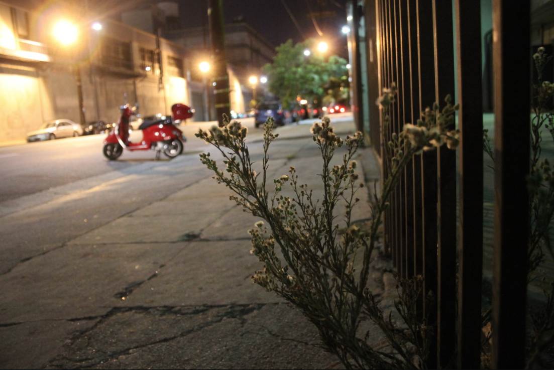 Screen Shot 2026-02-23 at 6.26.06 PM.png