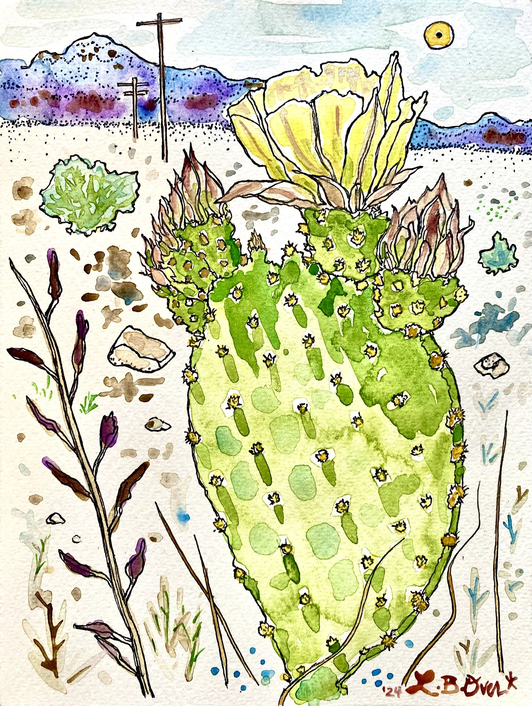 Easter Prickly Pear.jpeg