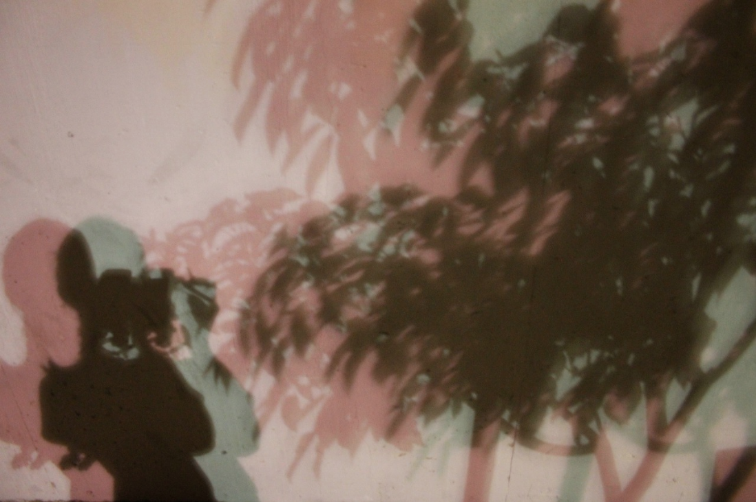 Screen Shot 2026-02-23 at 6.16.59 PM.png