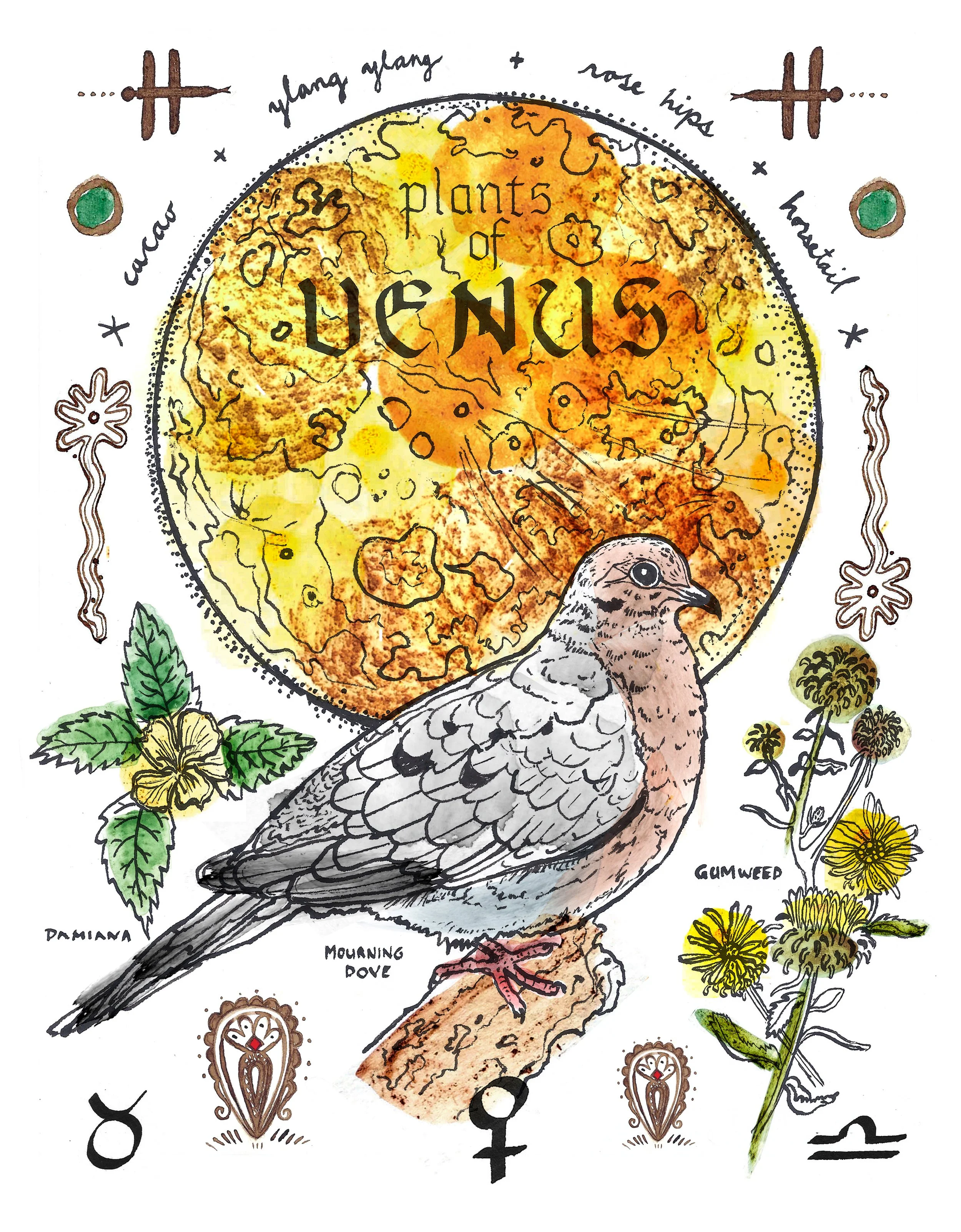 Venus Dove- Plants & Planets print