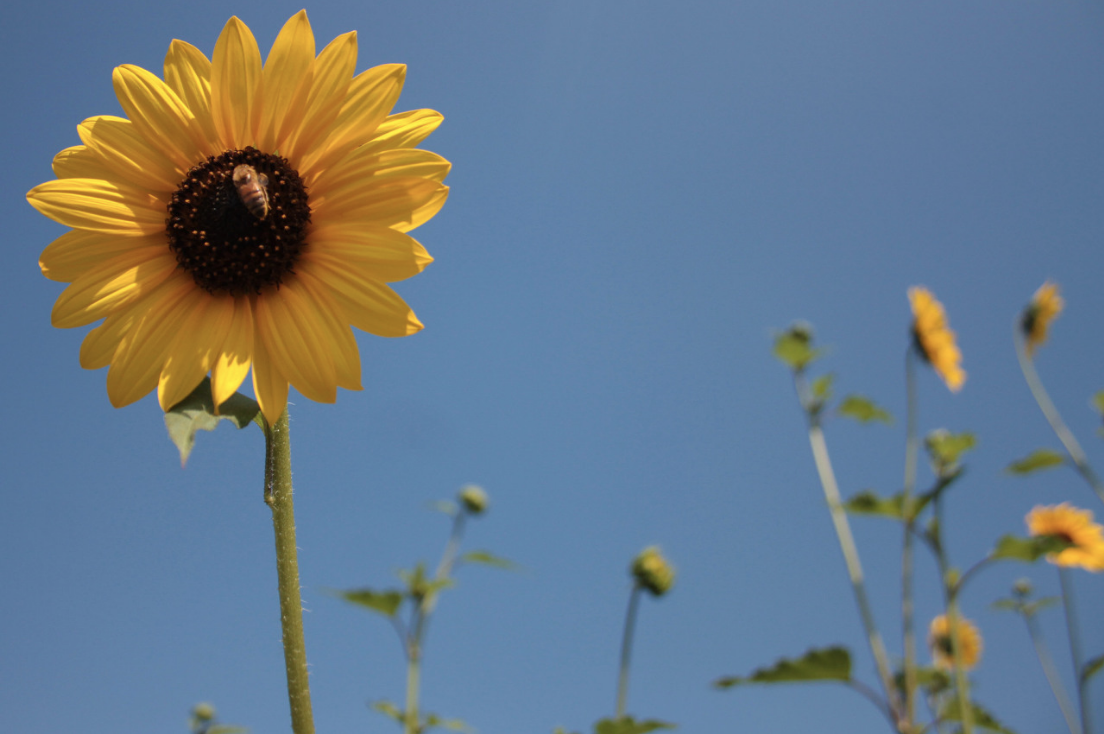 Screen Shot 2026-02-23 at 6.44.23 PM.png