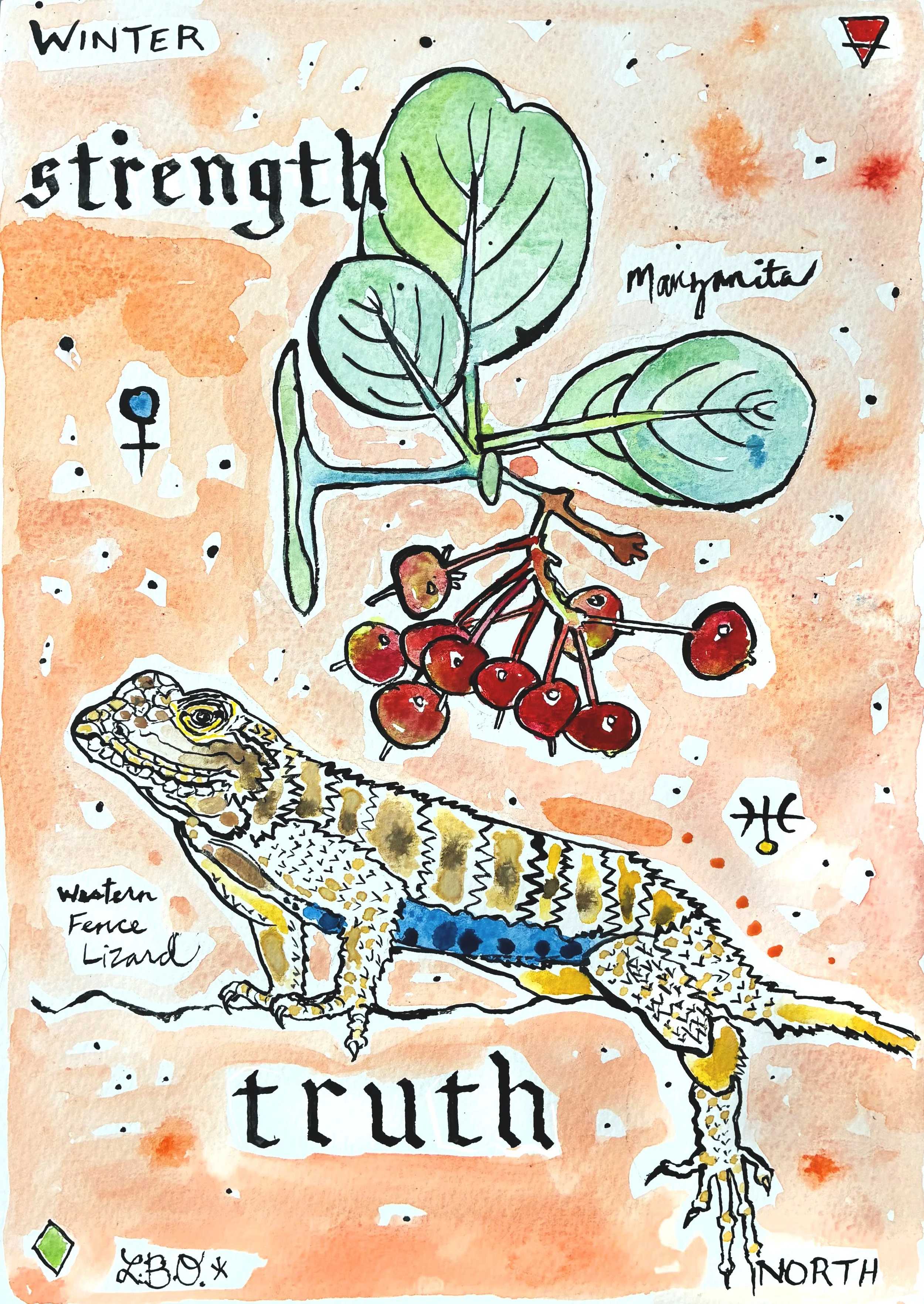 Manzanita Fence Lizard.jpg