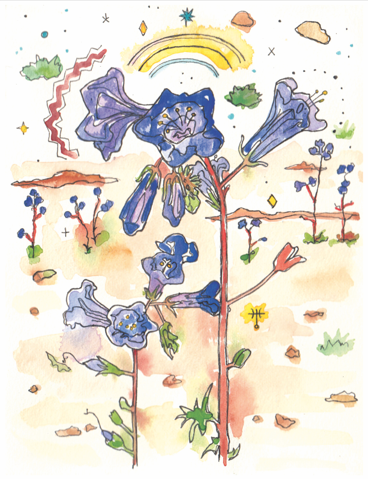 desert bells.png
