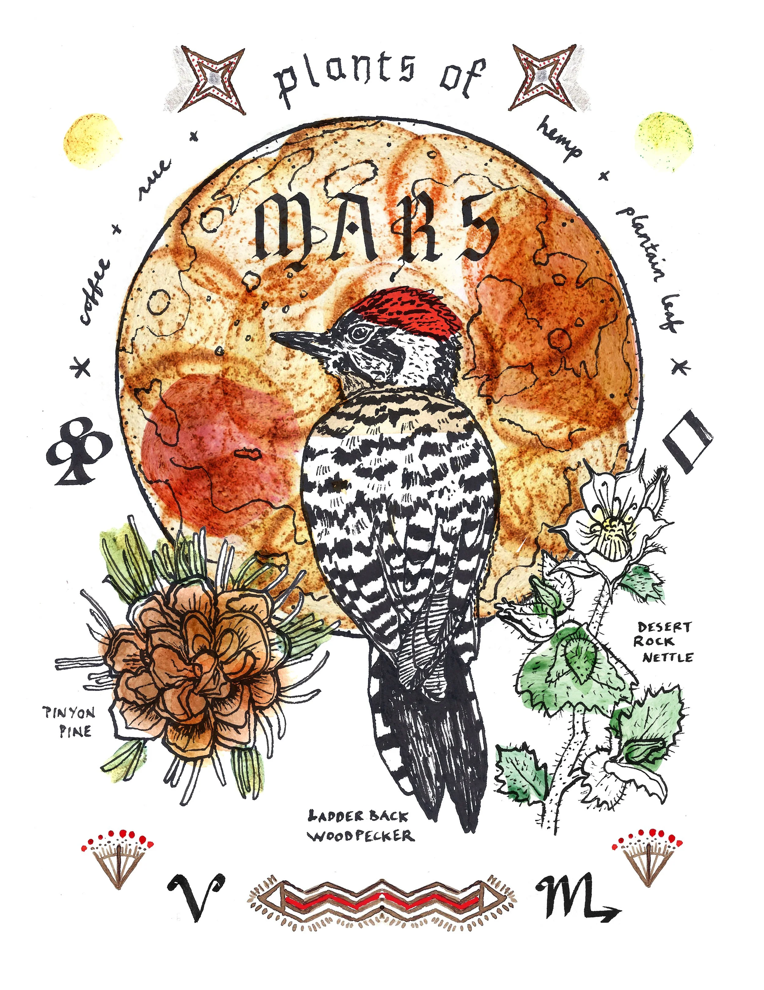 Mars Woodpecker- Plants & Planets print