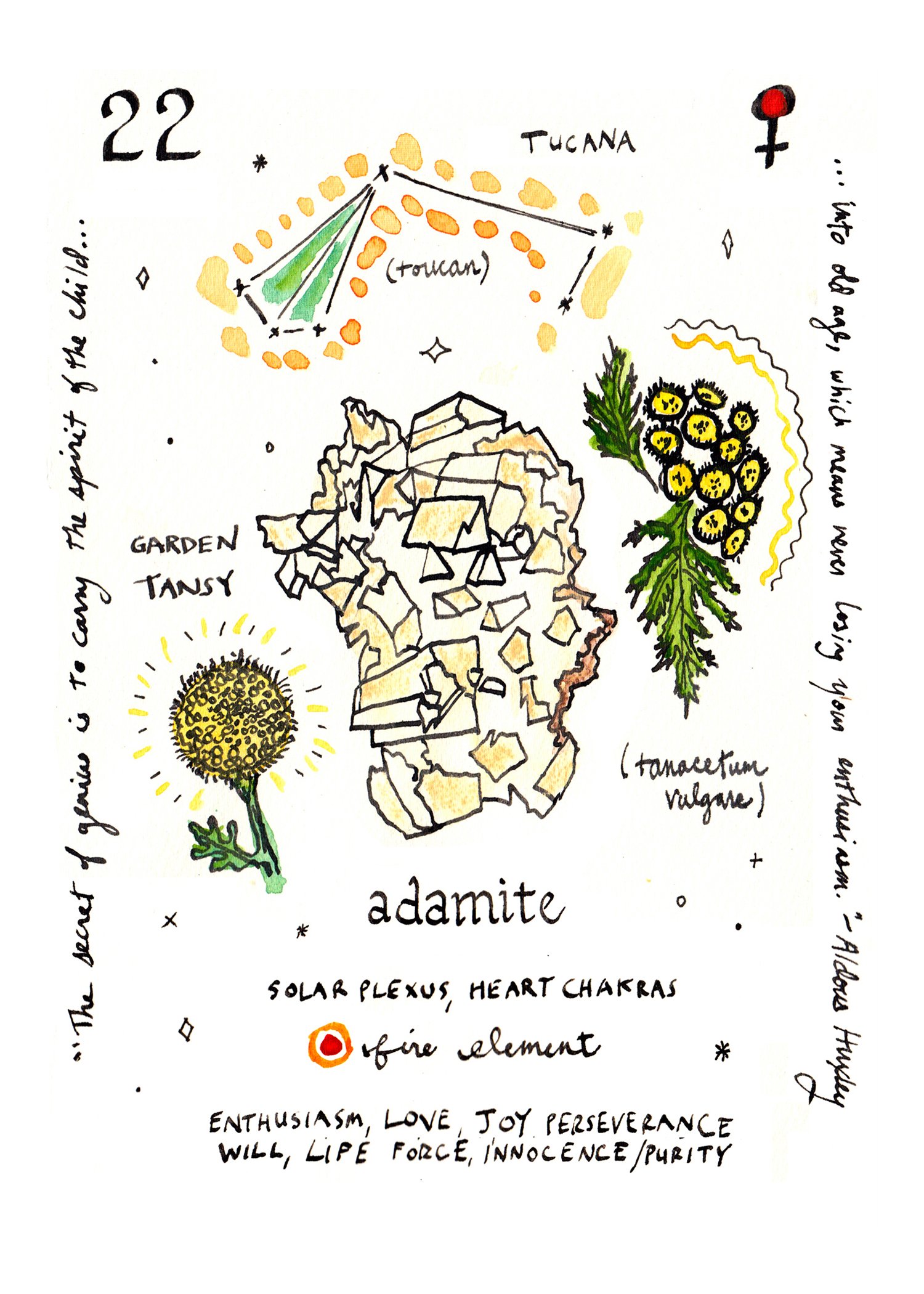 adamite.jpg
