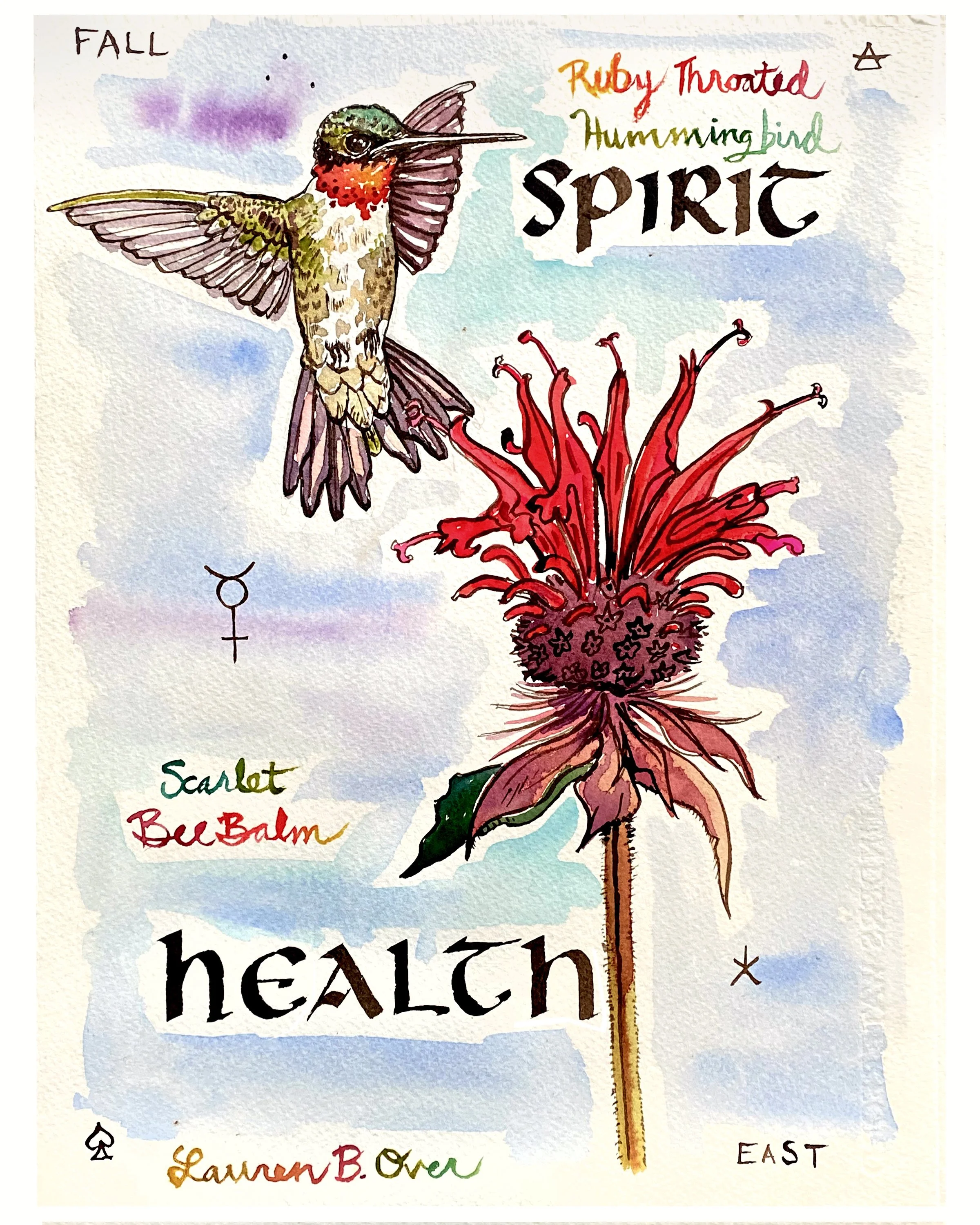 Bee Balm Hummingbird.jpg