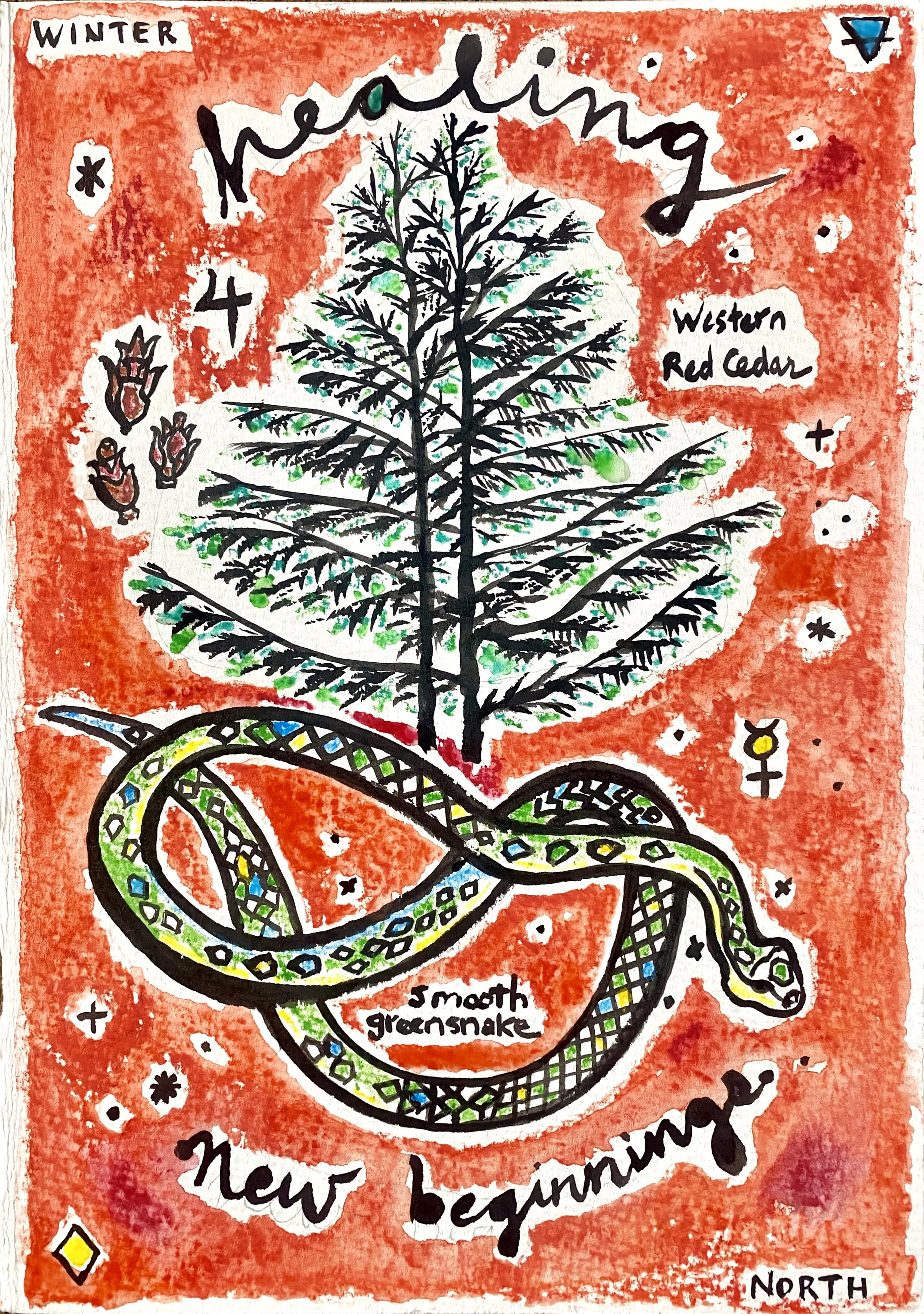 Cedar Greensnake.jpg