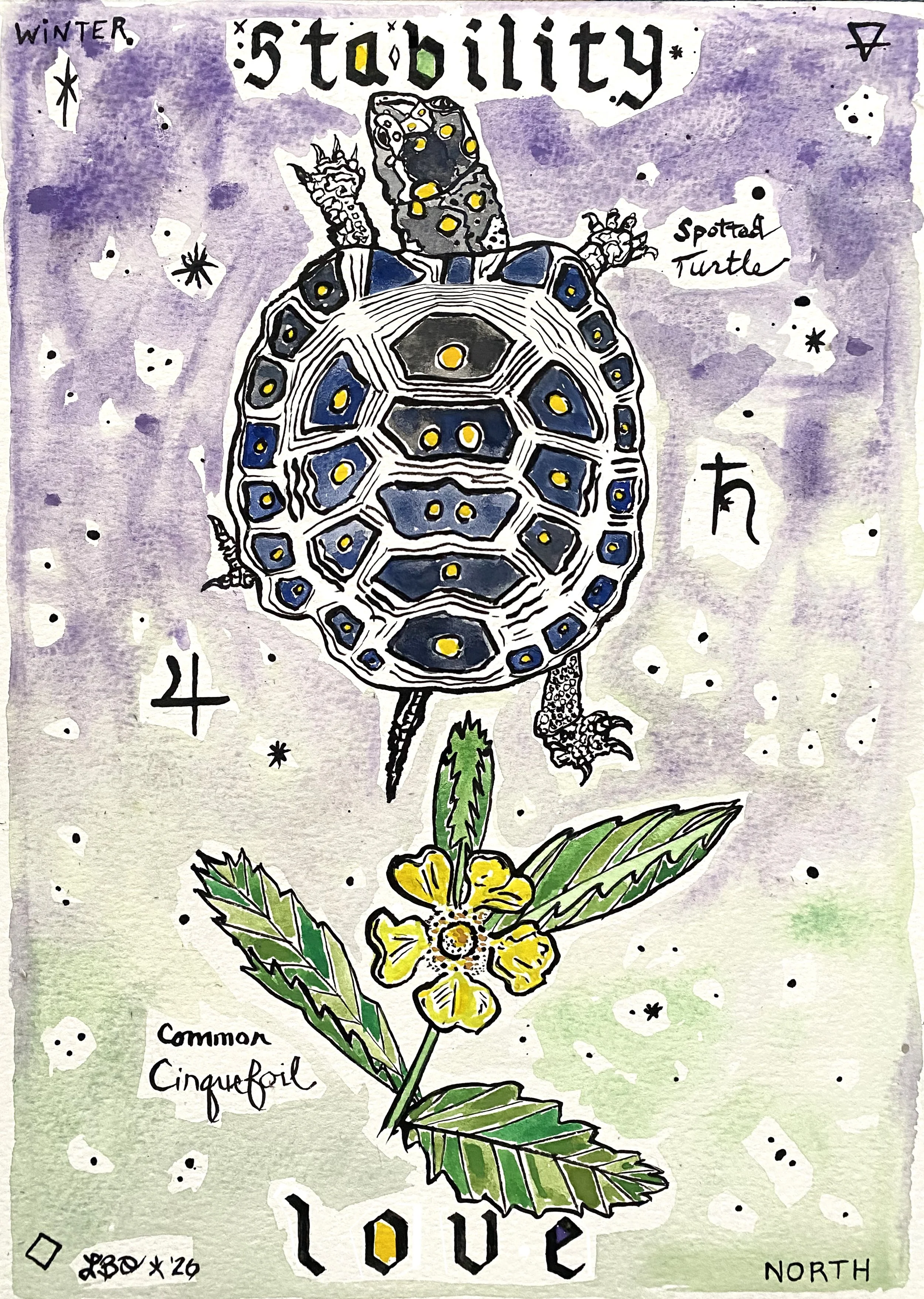 Spotted Turtle Cinquefoil.jpg