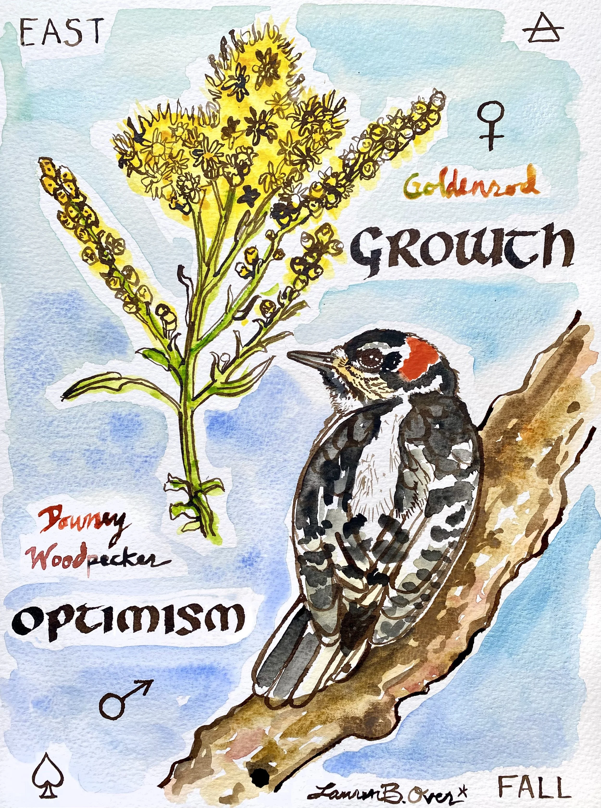 Goldenrod Woodpecker.jpeg