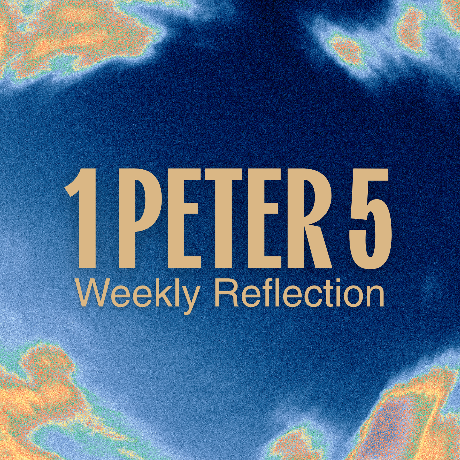 Weekly Reflection