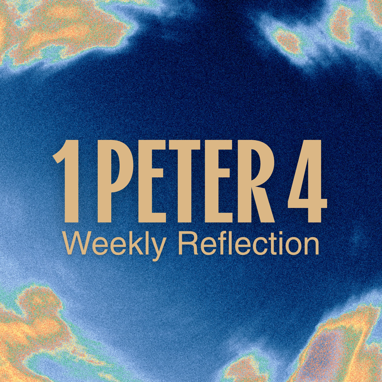 Weekly Reflection