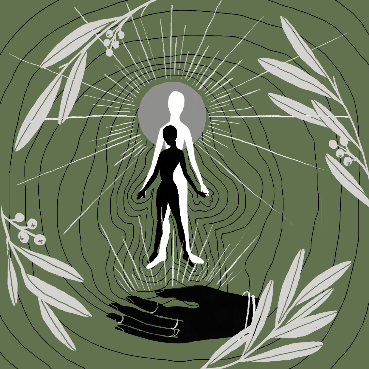 Cosmic ASSplorations