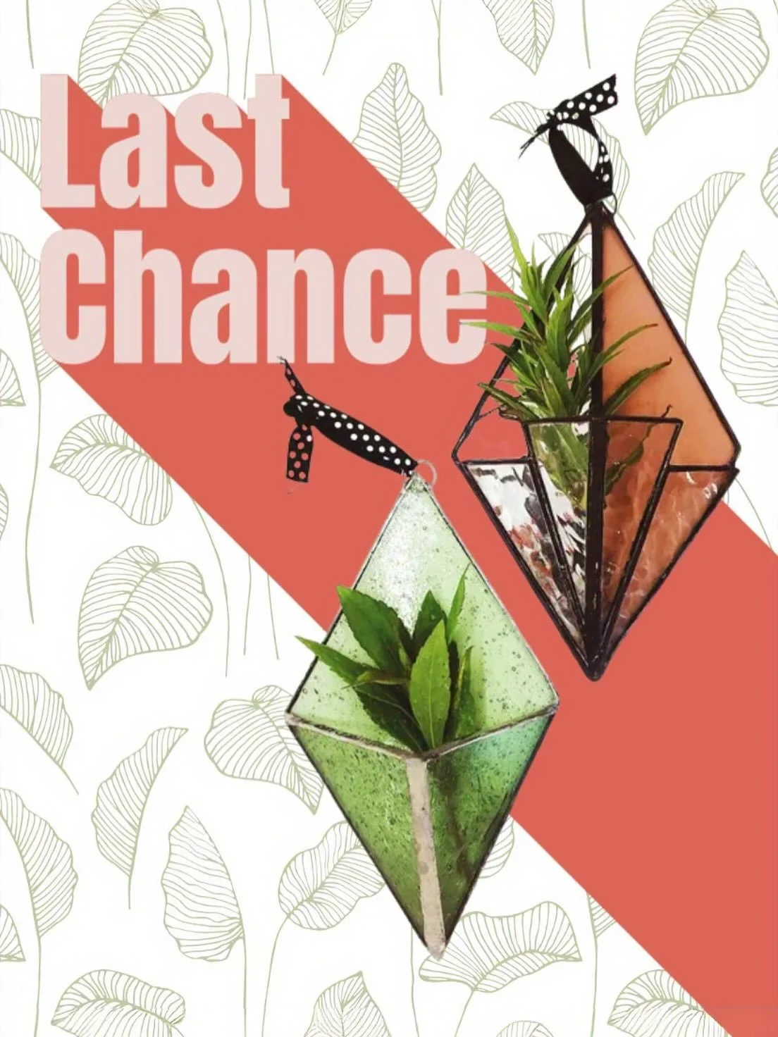 Grab your spot before they disappear for the year!! Zelieglass.com 🌿🍄🪴