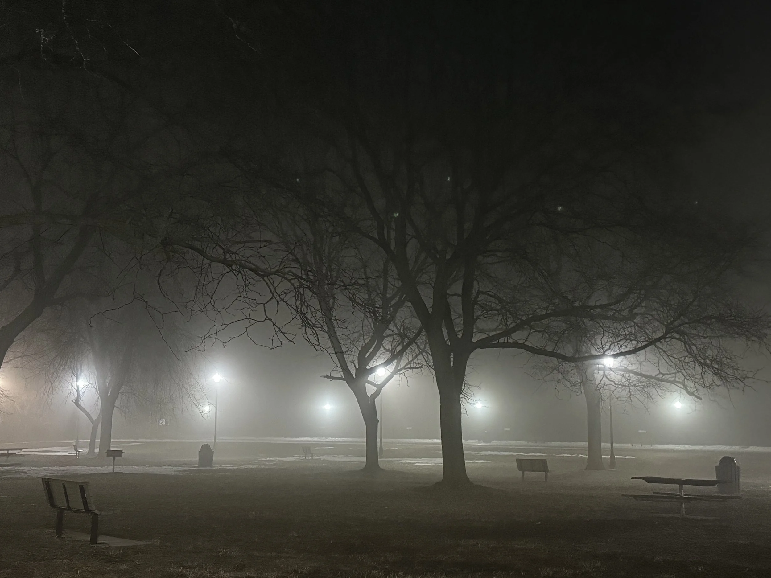 Bishop Park Fog.jpeg