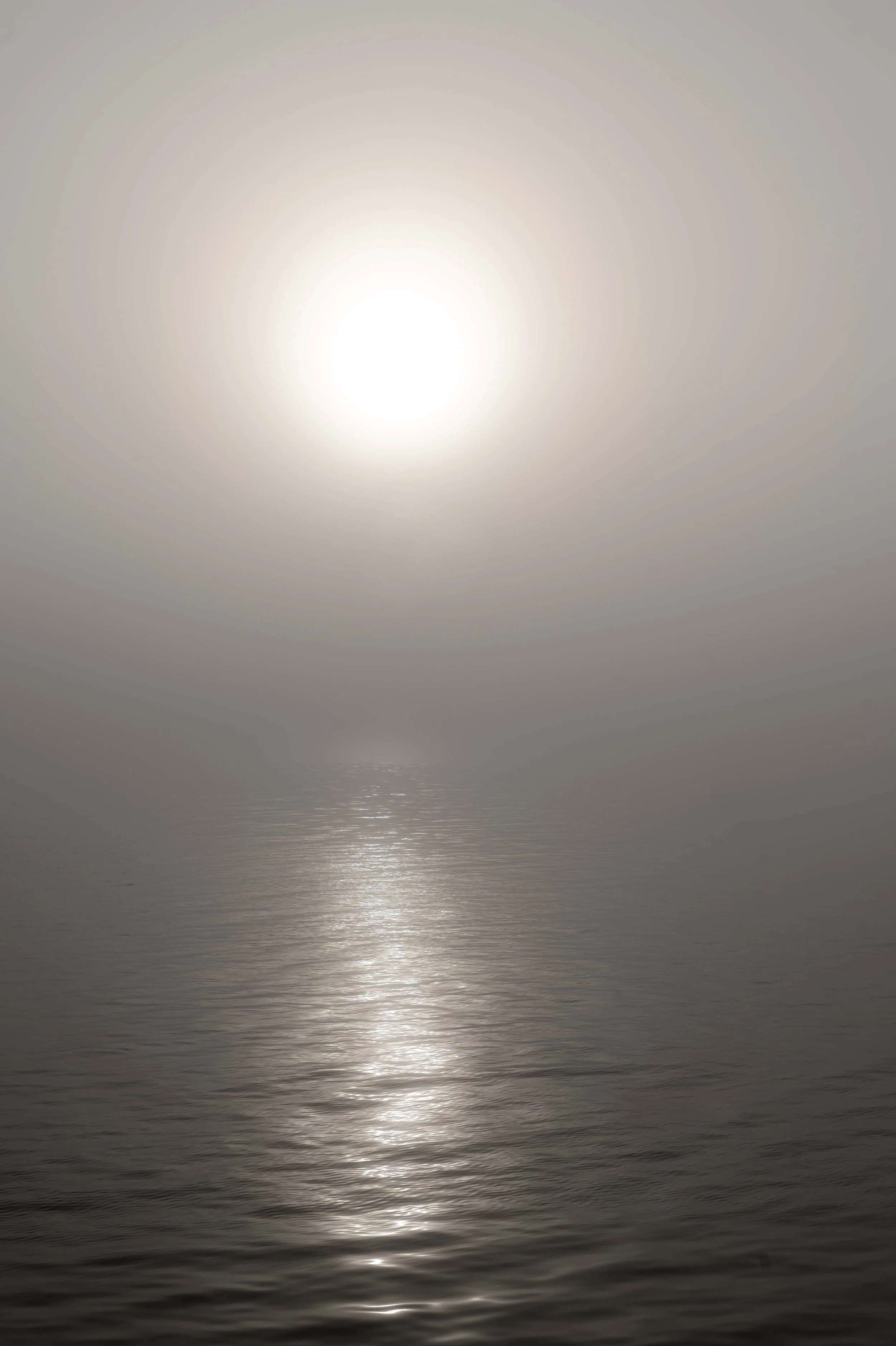 sunthroughthefog.jpg