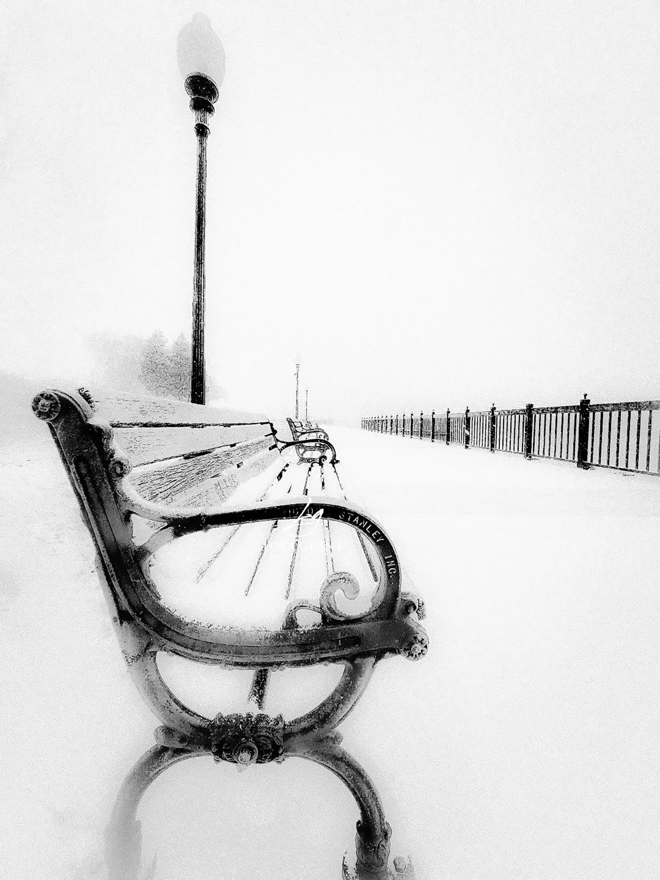 Benches in Winter logo.jpg