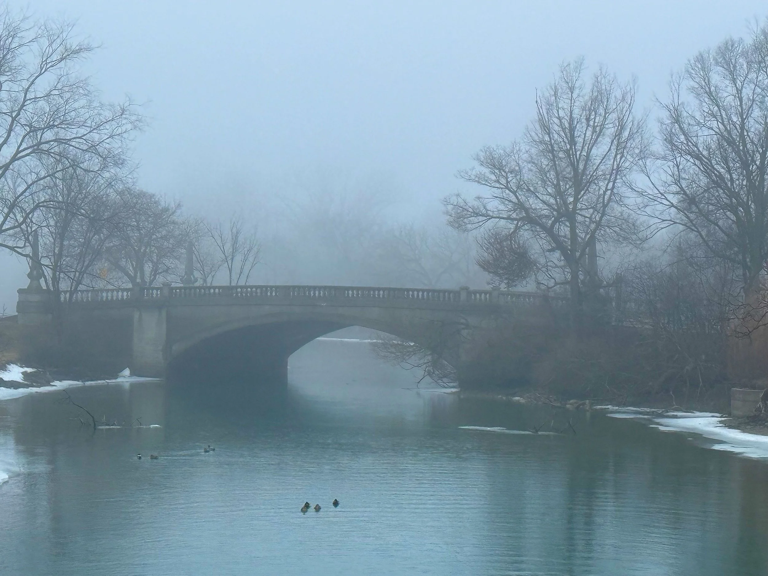 Elizabeth Bridge in fog 2.19.26.jpeg
