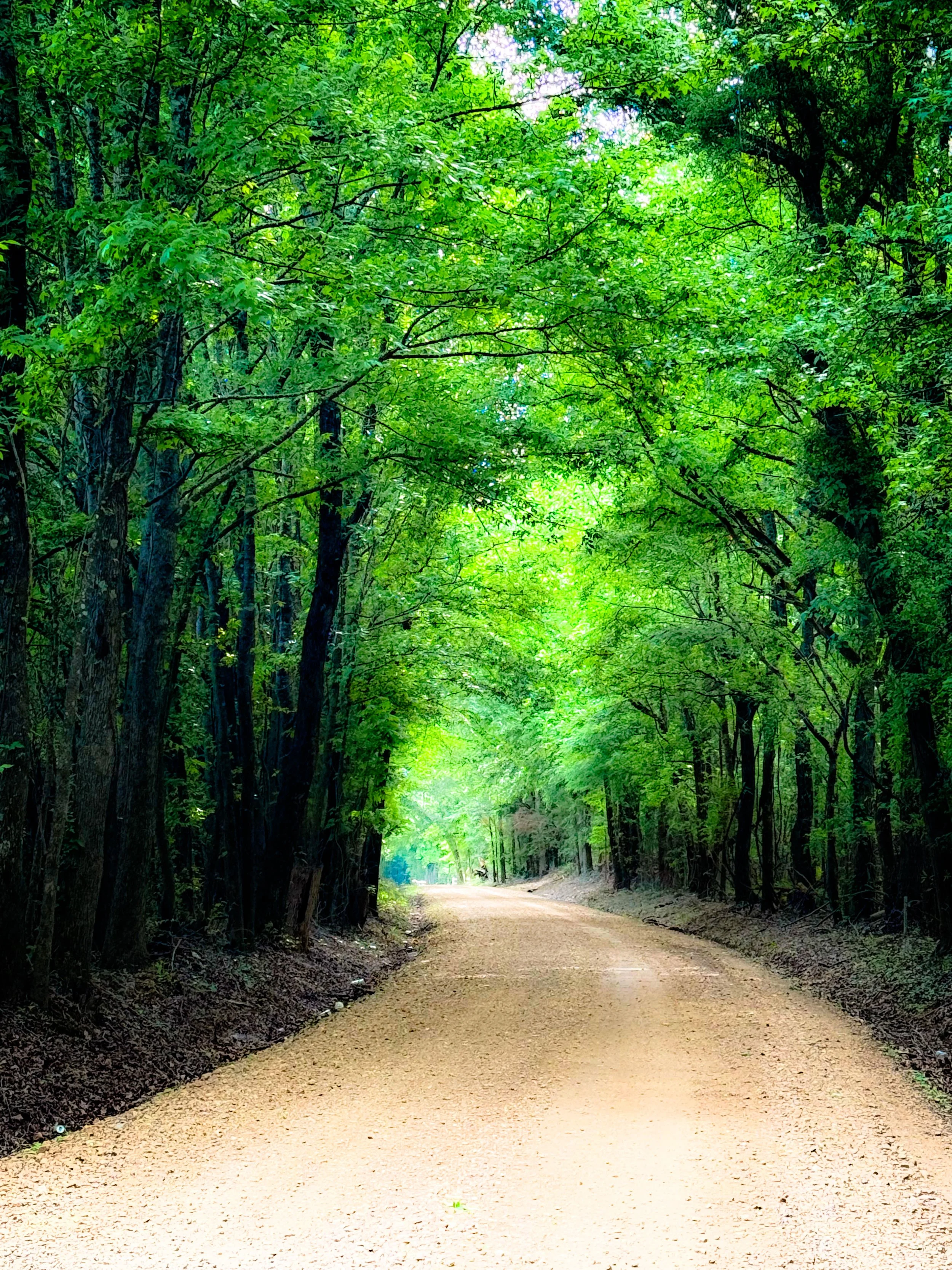 84C8567C-6934-4857-A1E1-20D66B80BF9F.jpeg