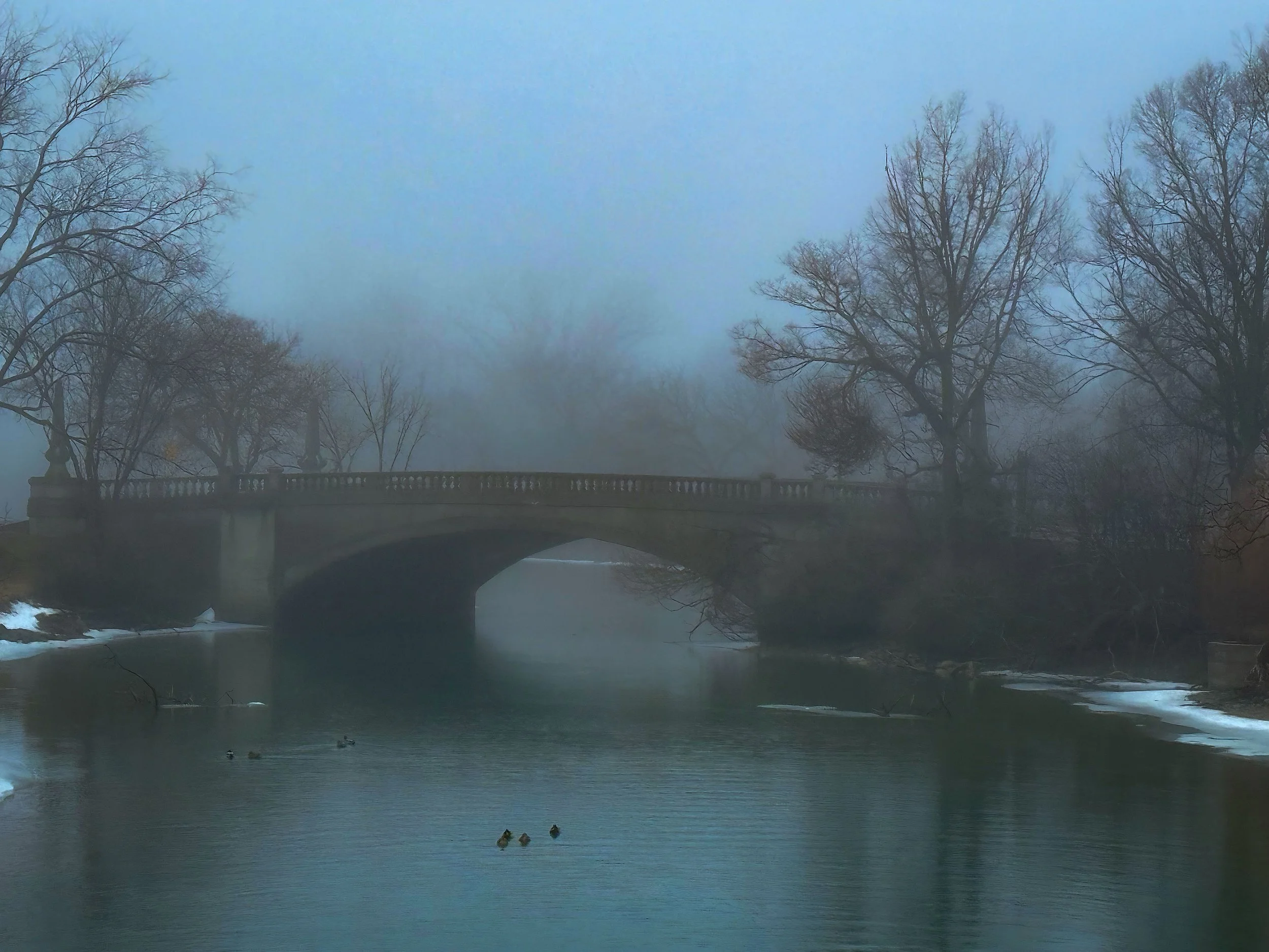 Elizabeth Bridge in fog 2.19.26.jpeg