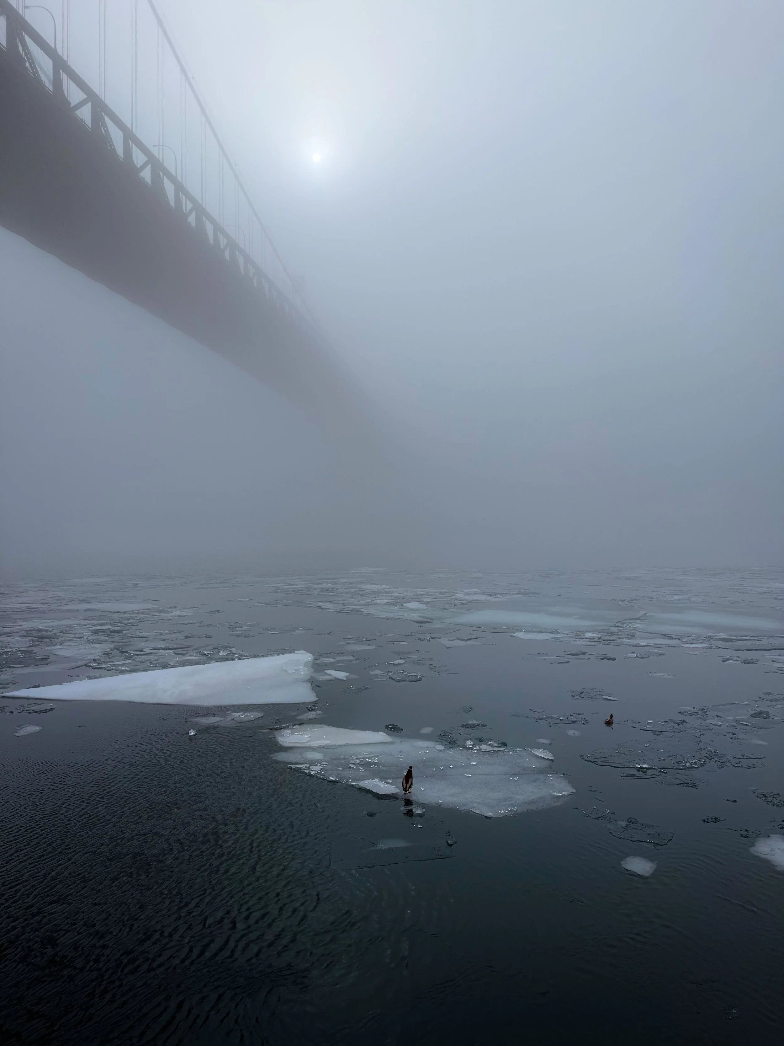 Ambassador Bridge, Detroit Michigan. This image was selected to be exhibited in 