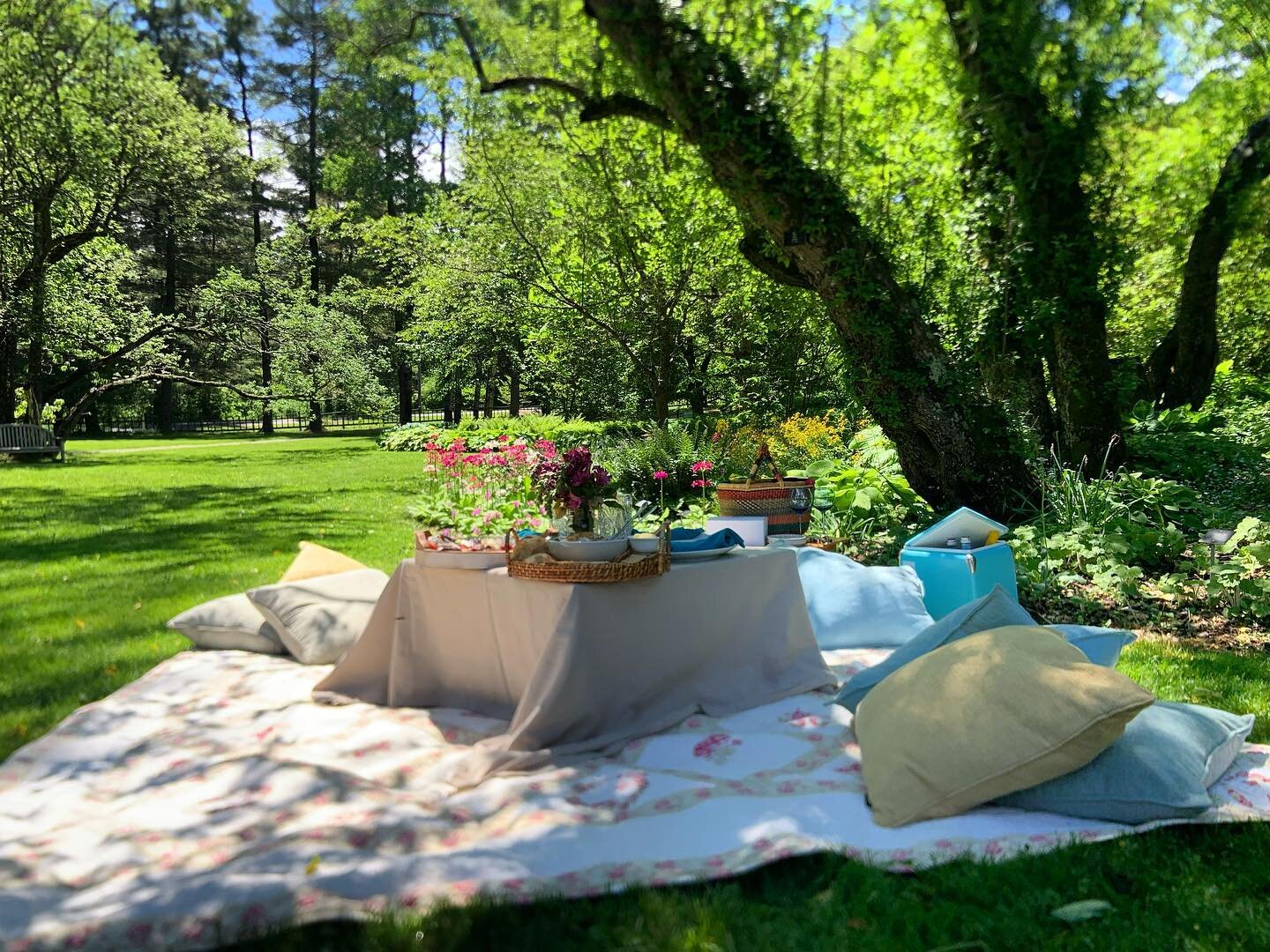 Our first of many picnics this season at the beautiful @berkshirebotanicalgarden was a head turner! Our picnickers enjoyed an elegant setup, @onceuponatable.stockbridge bites, @lost_lamb_patisserie sweets in the garden shade.