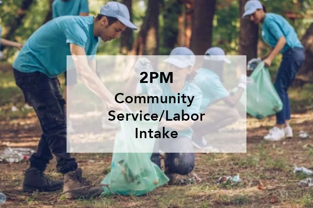 Community Service/Labor Intake