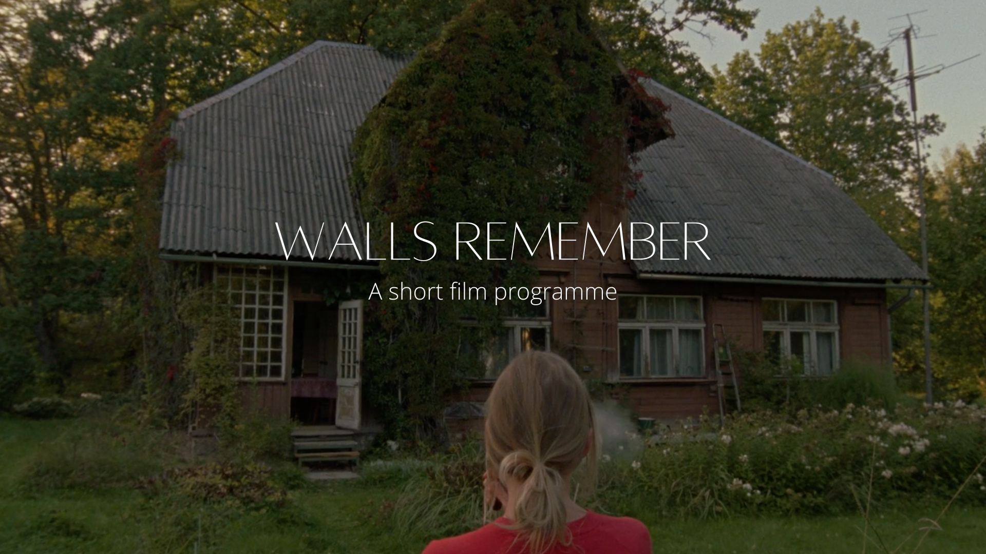 WALLS REMEMBER.png