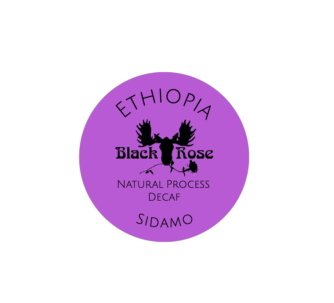 Ethiopia Dot Web Only.png