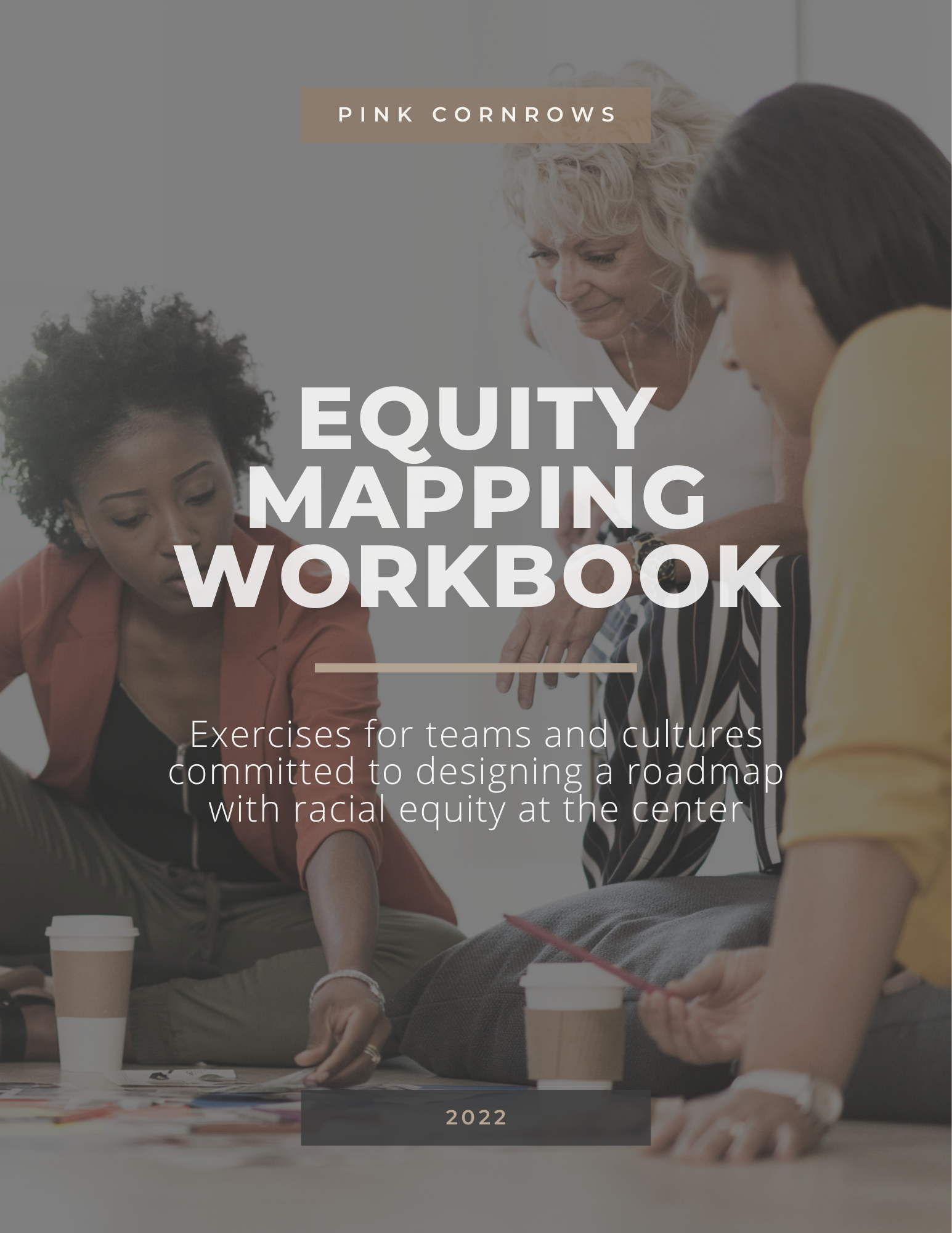 Pink Cornrows Equity Mapping Workbook.png