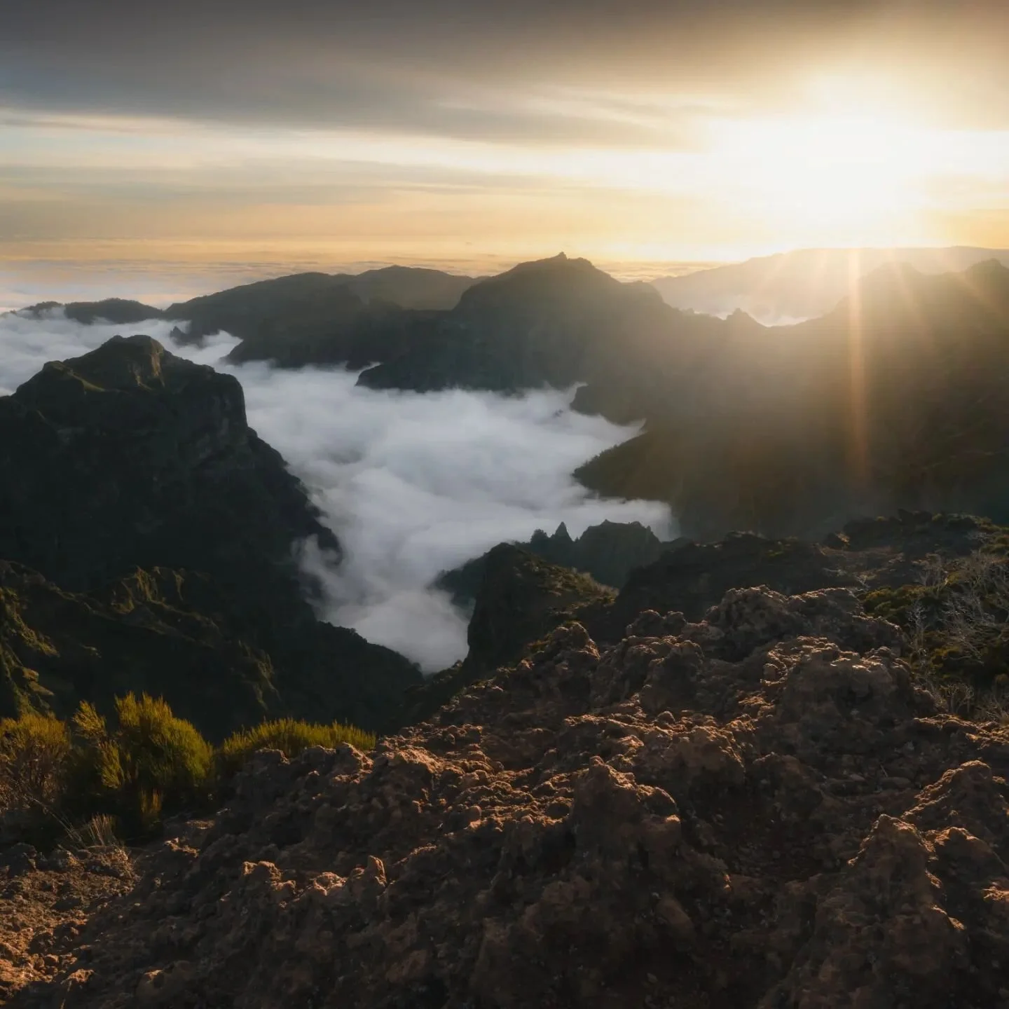 Pico ruivo.
.
.
#travelnow #adventurers #natureshots #naturehippys_ #naturephotography #natures #natureshooters #naturecaptures #natureinfocus #natureview #nature_pics #mountainscape #mountainlove #mountainstories #mountaintrip #mountaingram #hikingt