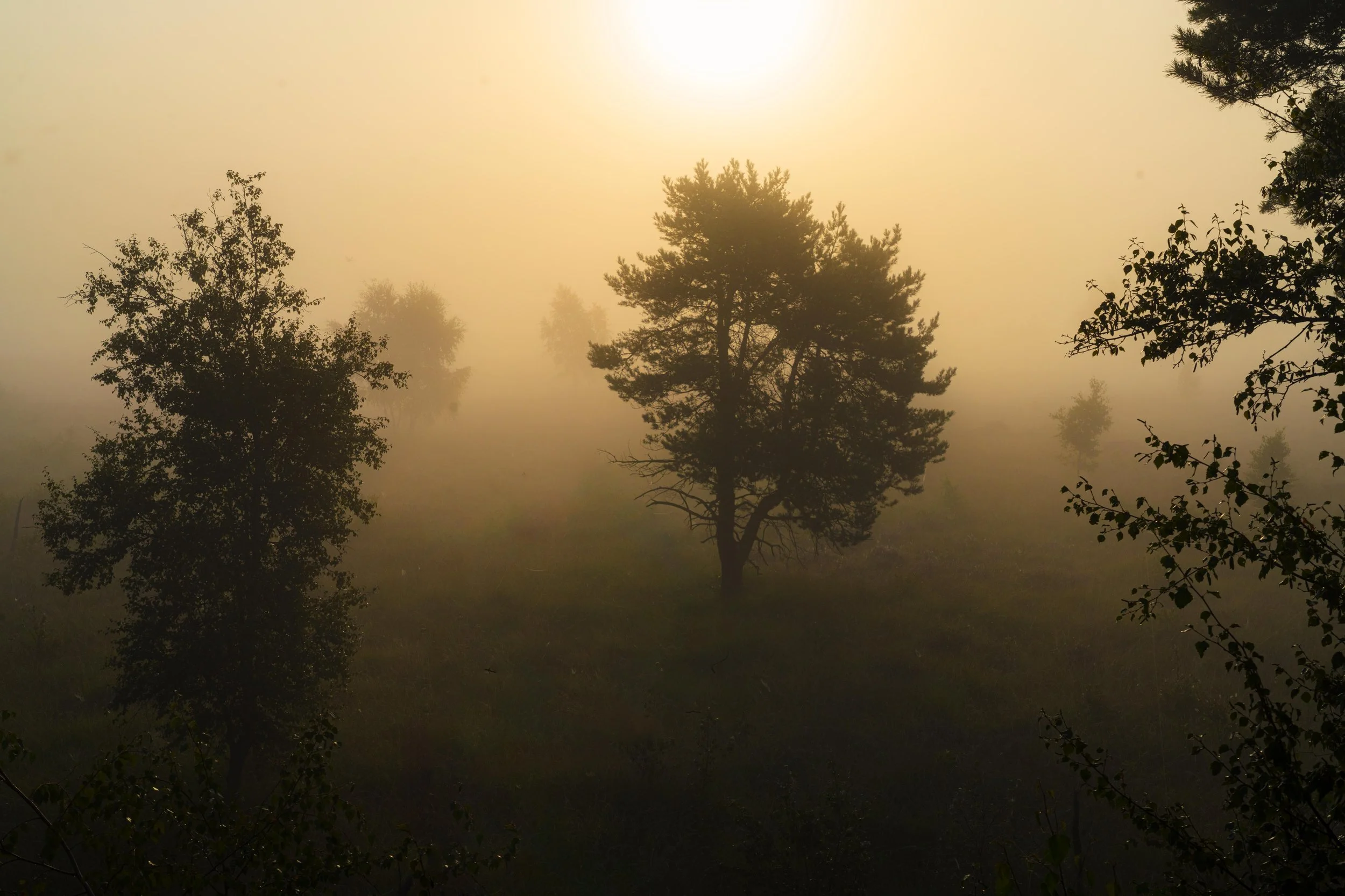 DSC06502-Edit.jpg