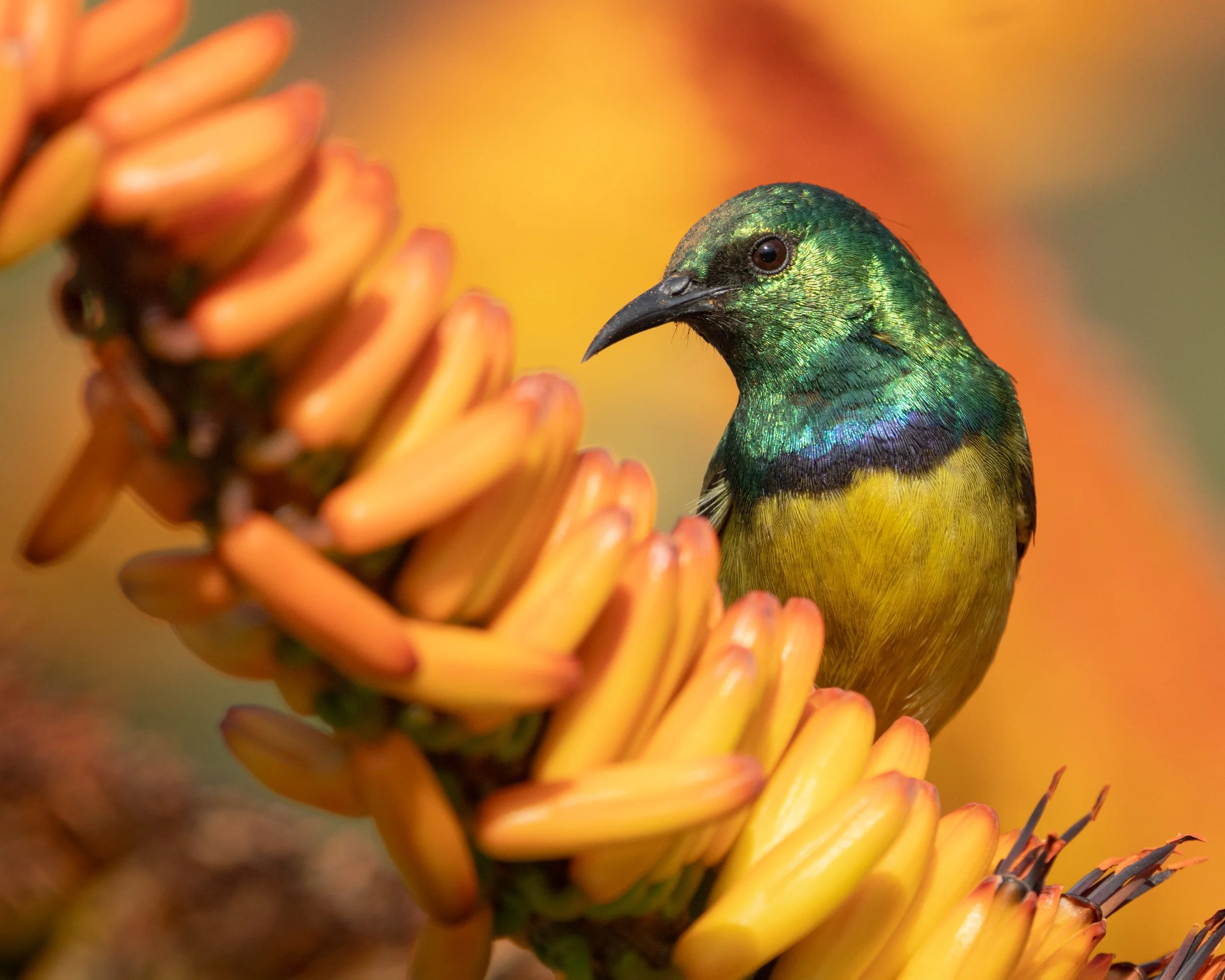 DSC04834.jpg