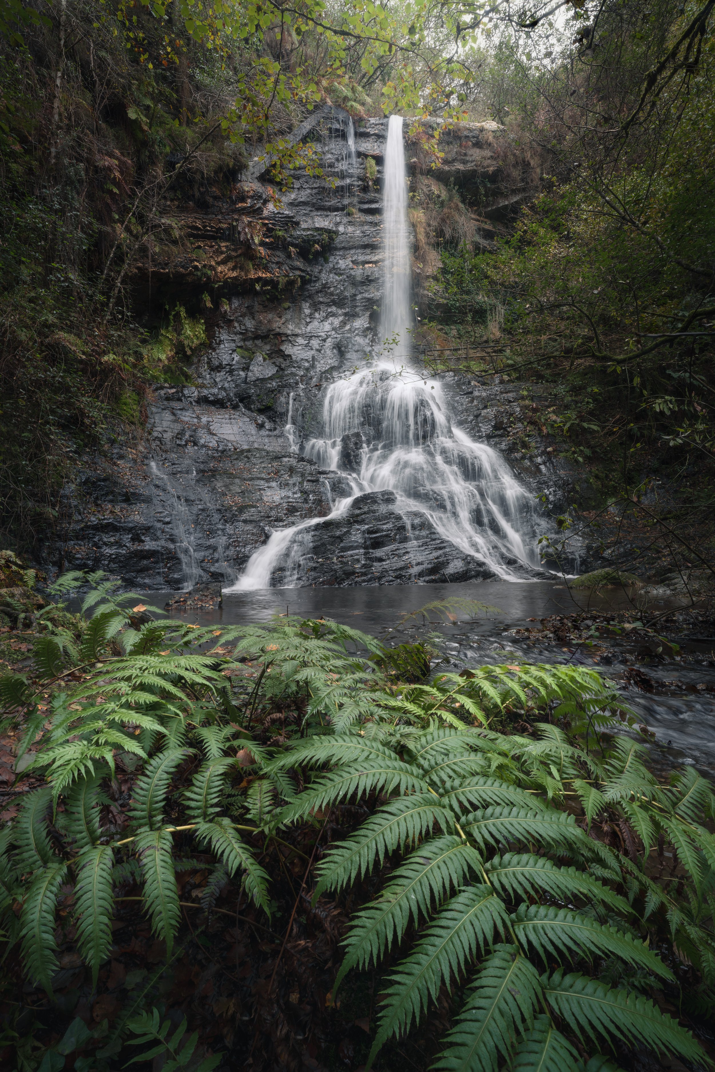 DSC04827 copy (1).jpg