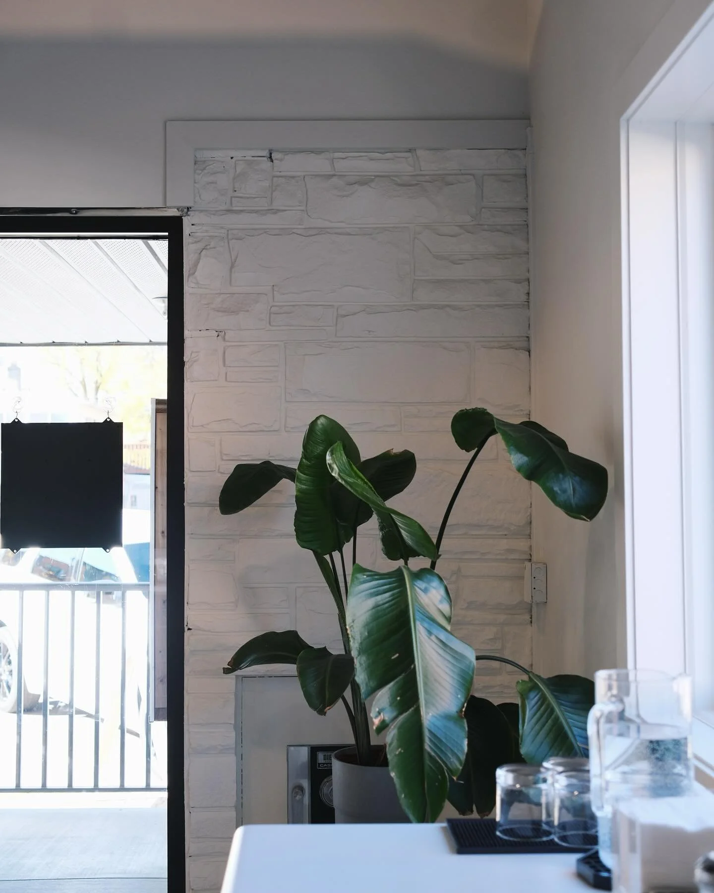 Natural light, clean lines, good people, and a touch of greenery- a thoughtfully designed space for you and your loved ones to enjoy! 🌿😌 
-
#dewitt #downtowndewitt #renovation #dwellingcoffee #specialtycoffee #lansingcoffee #lansingmichigan #eastla