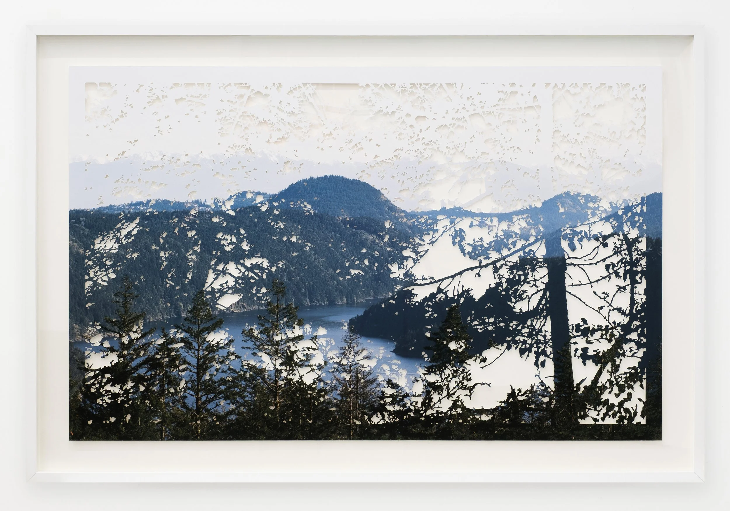 malahat 
hand cut photo on hahnemuhle photo rag, framed 
41" x 61" 
2026 
$7800