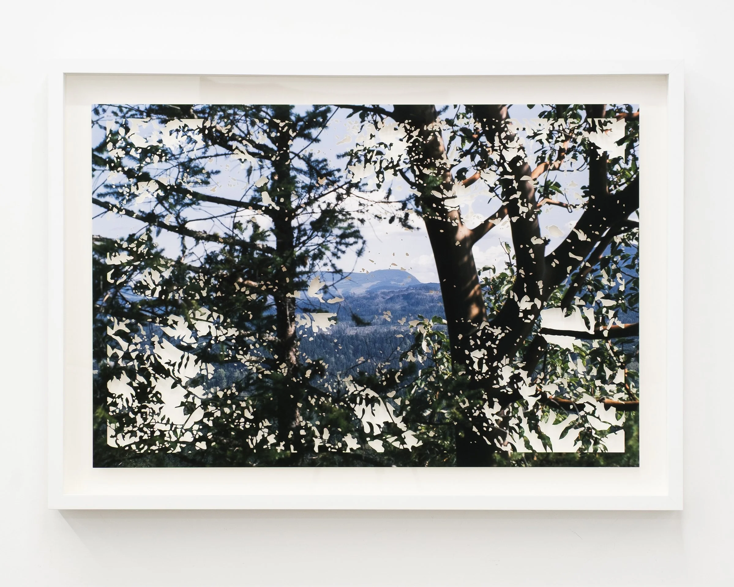 little mountain lookout 
hand cut photo on hahnemuhle photo rag, framed 
29" x 41" framed 
2026 
$4200
