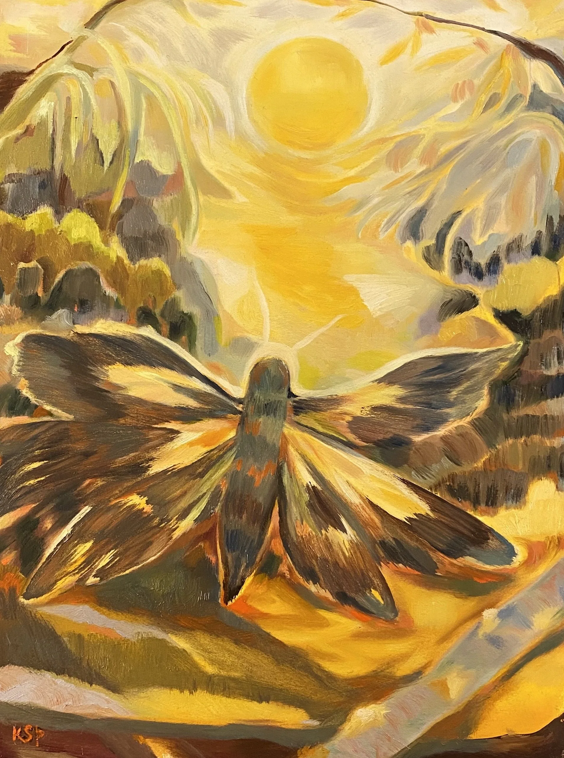 moth, 2021
oil on paper, 16” x 12”,
framed size 21" x 17"
$1400