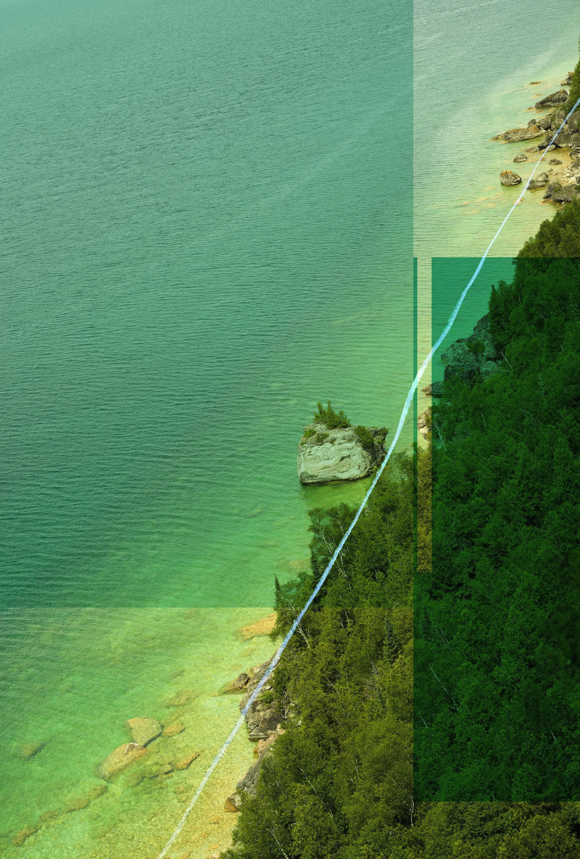 lionshead 
photograph w/ mixed media, framed 
40" x 27" 
2026 
available in gallery 
$3800