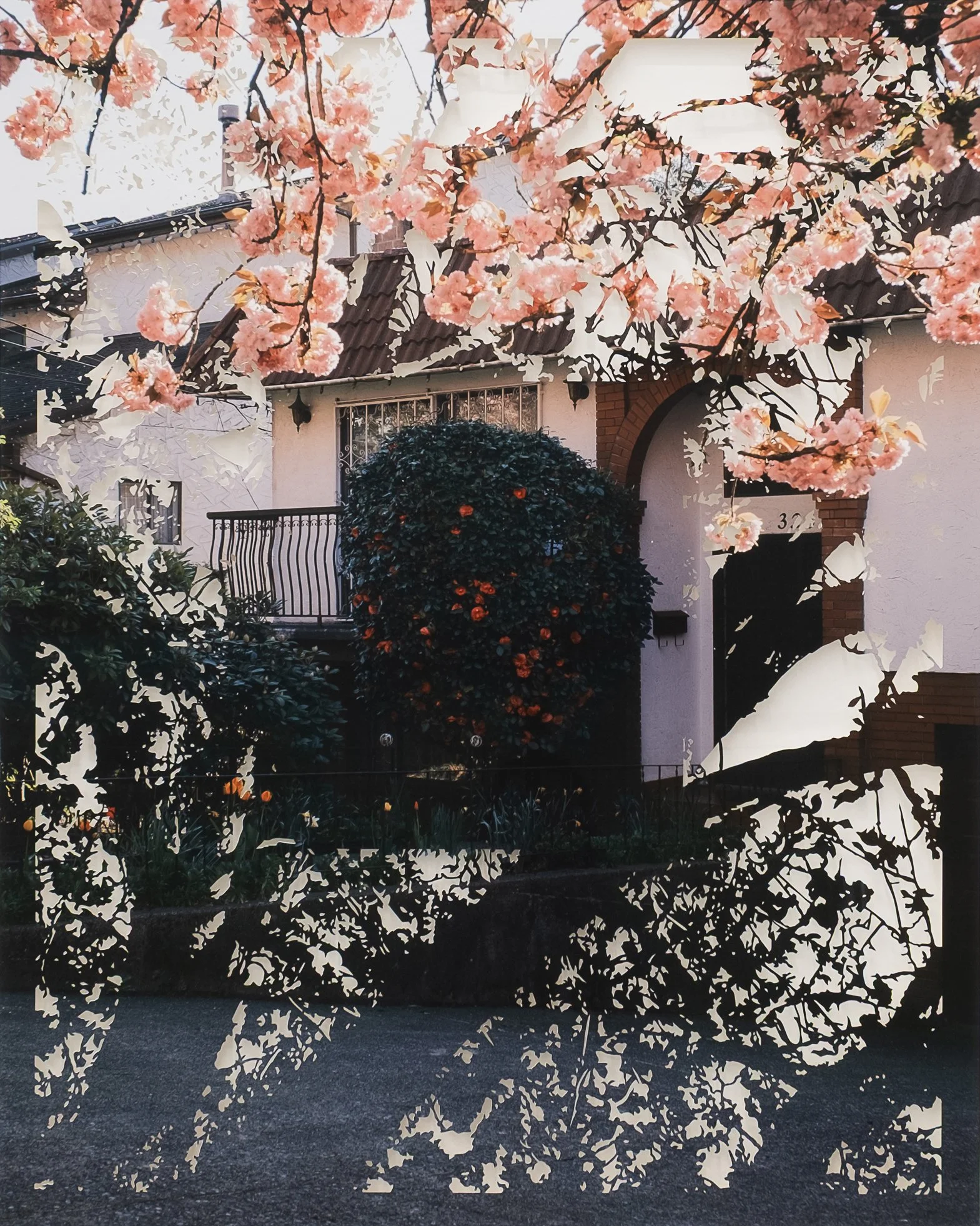 spring roses, vancouver  
hand-cut photograph 
40” x 33” framed  
2026 
$3800